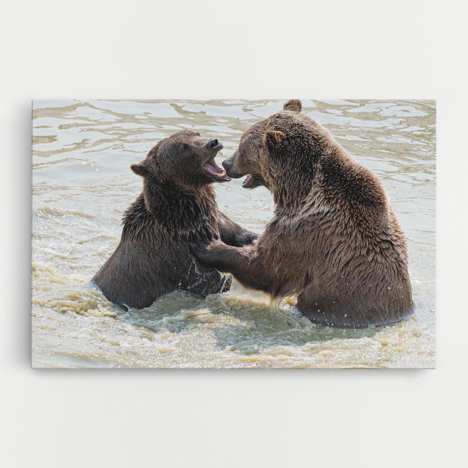 Bears Fighting mockup 0