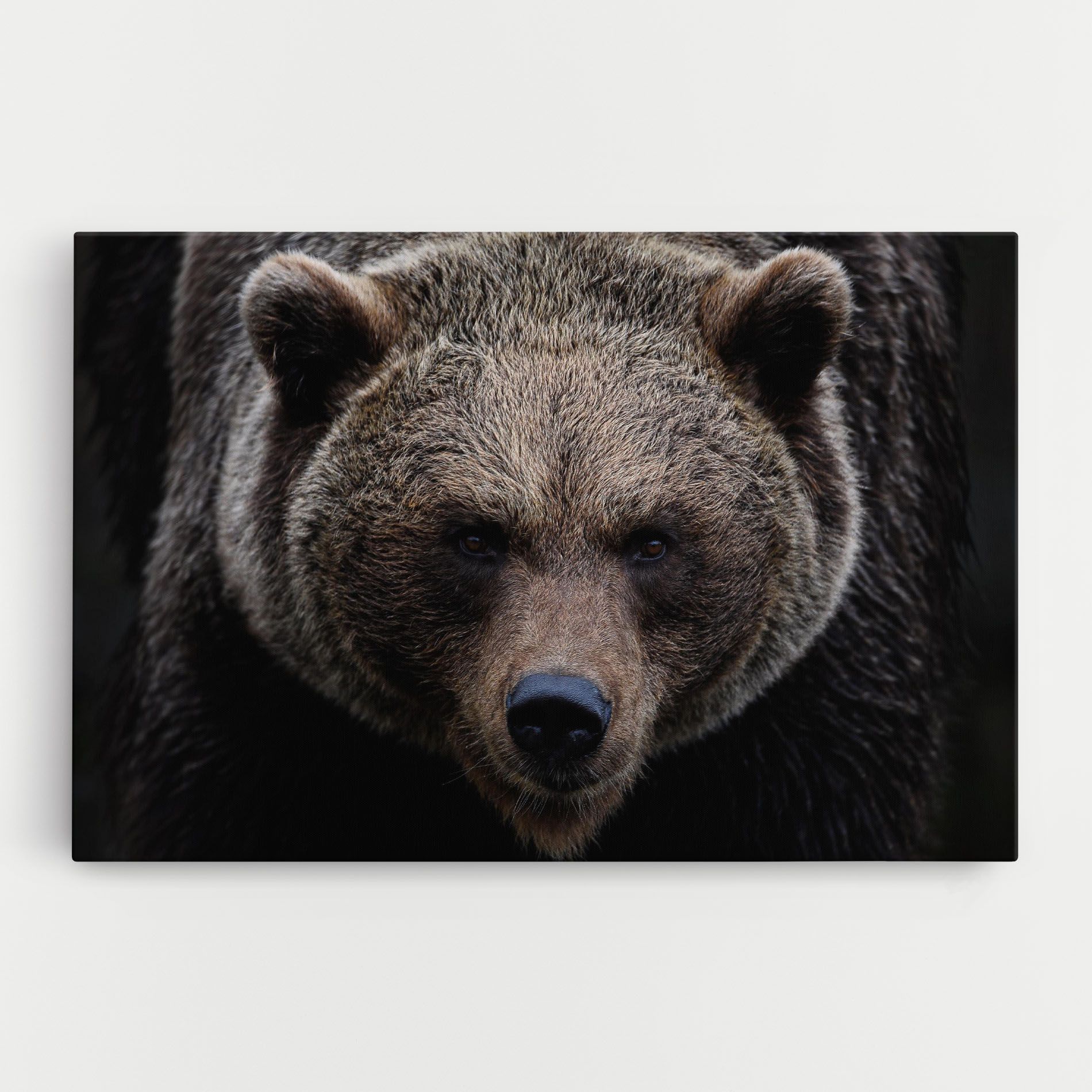 Brown Bear mockup 0