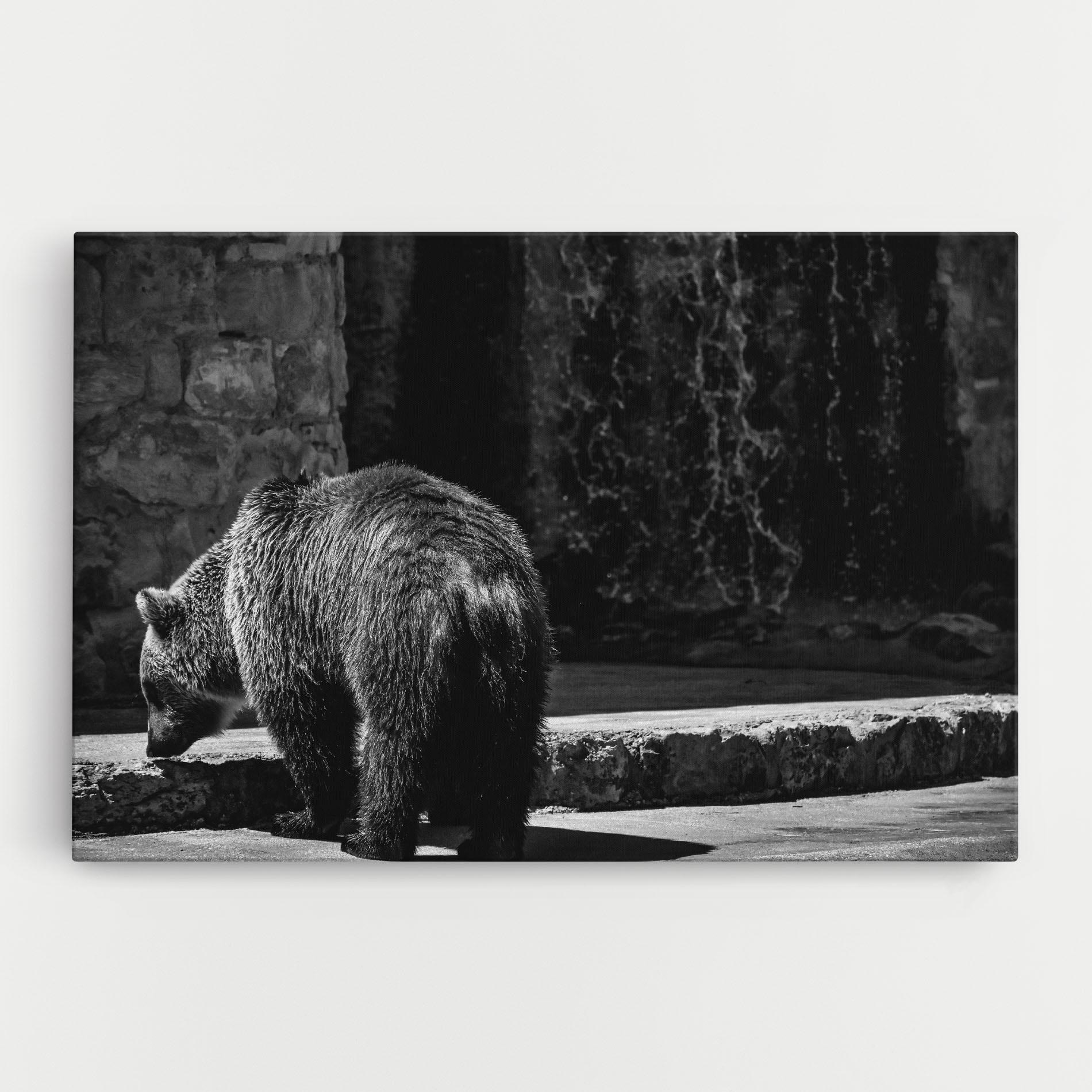 Tablou Canvas Grey Bear mockup 0