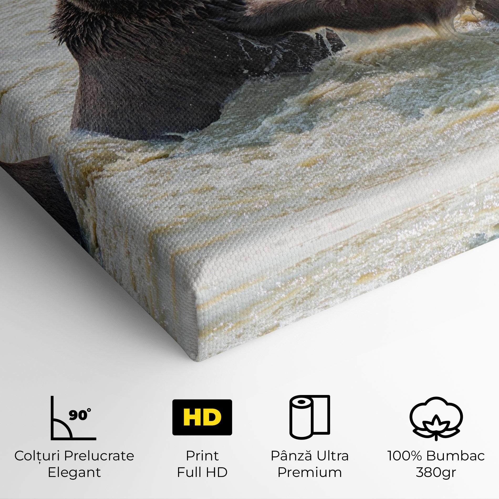 Tablou Canvas Bears Fighting mockup 4