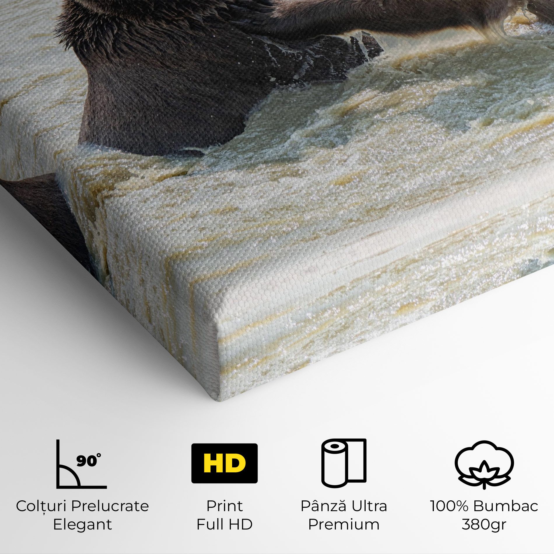 Bears Fighting mockup 4