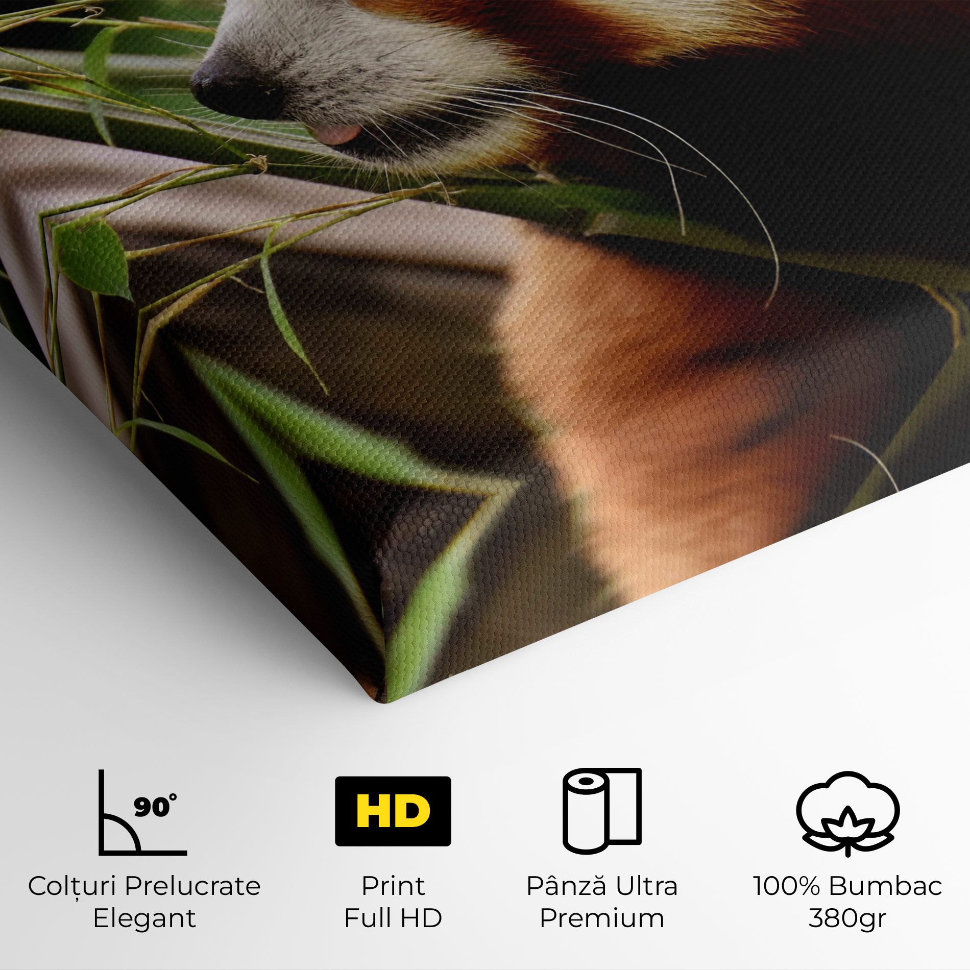 Cute Red Panda mockup 4