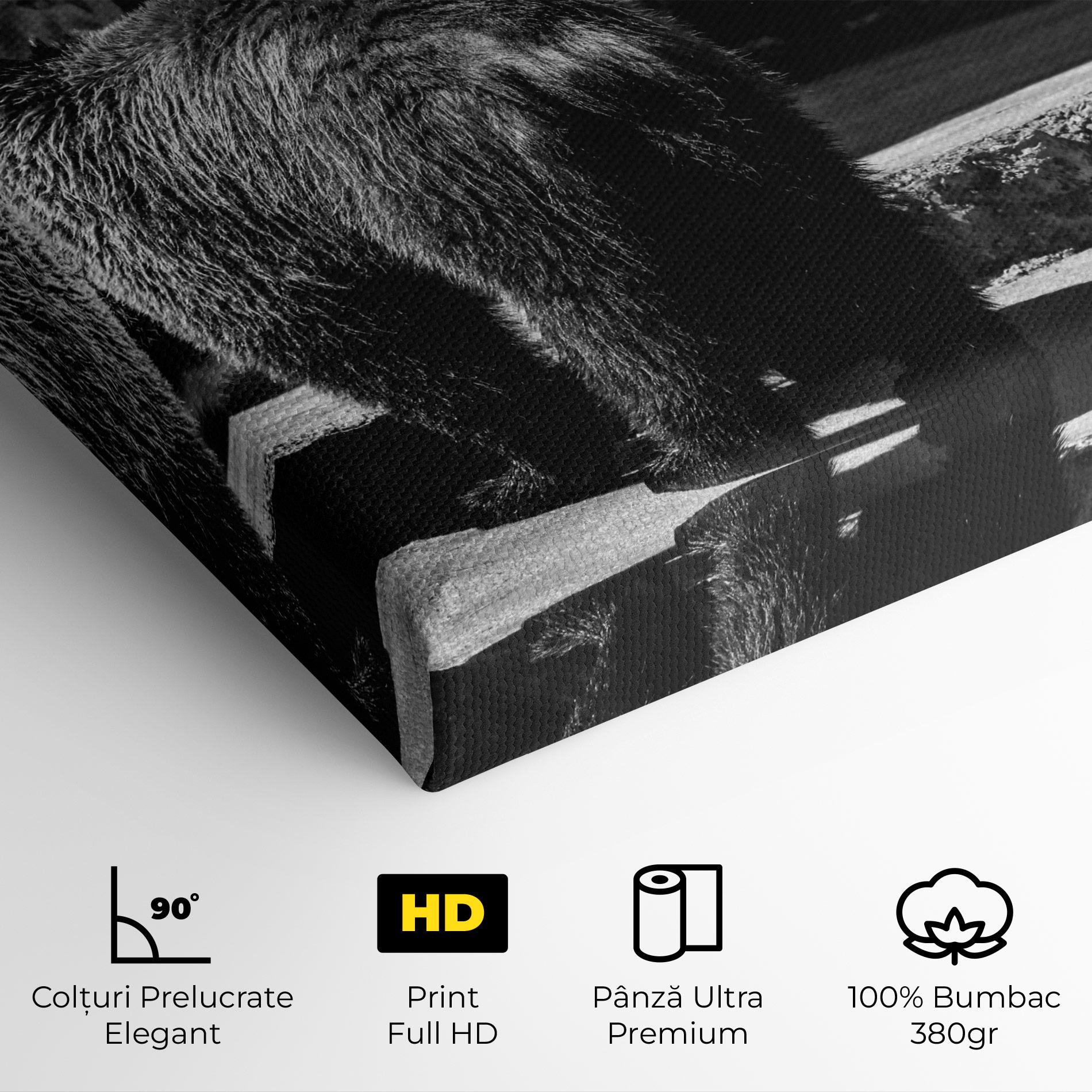 Tablou Canvas Grey Bear mockup 4