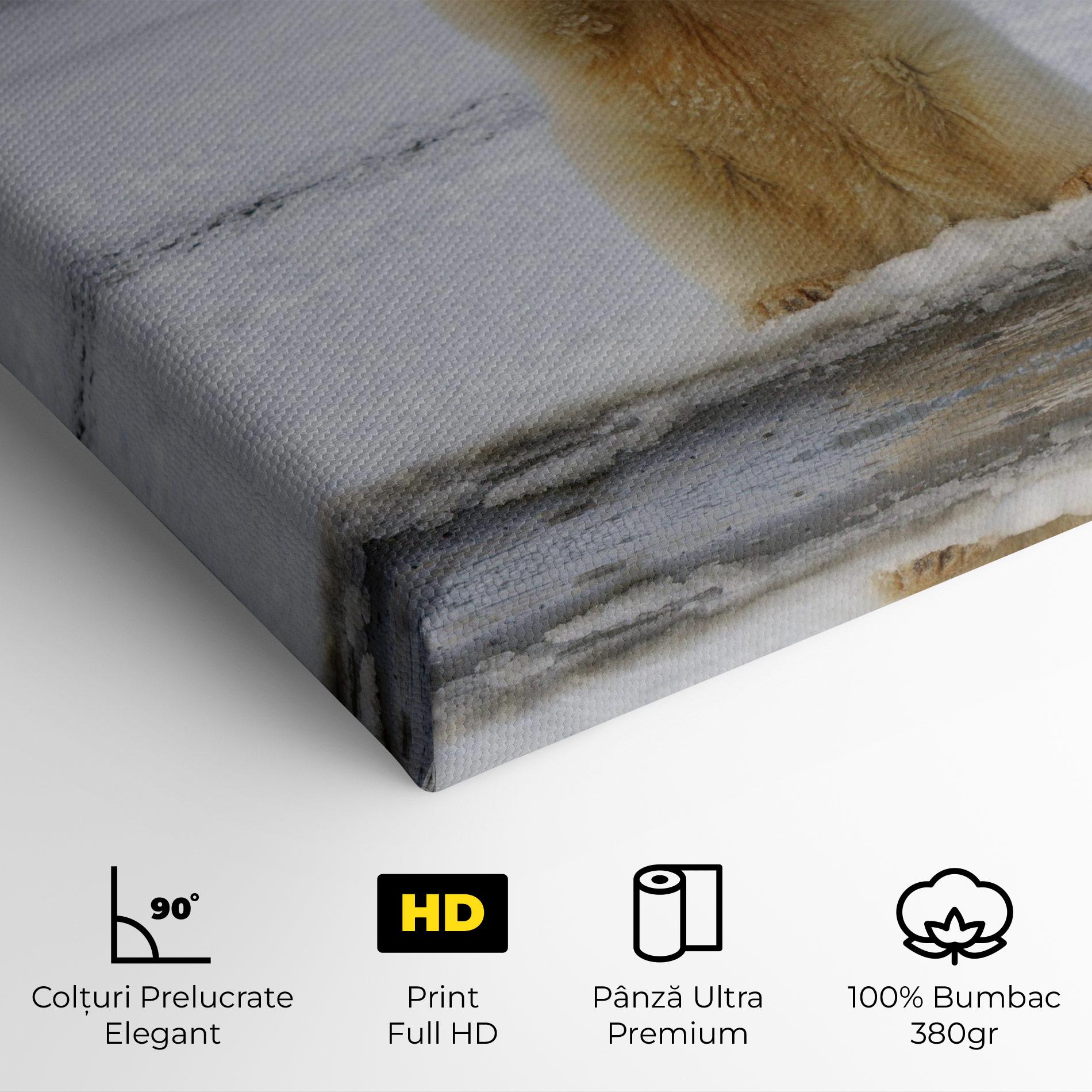 Tablou Canvas Icebear Praying mockup 4
