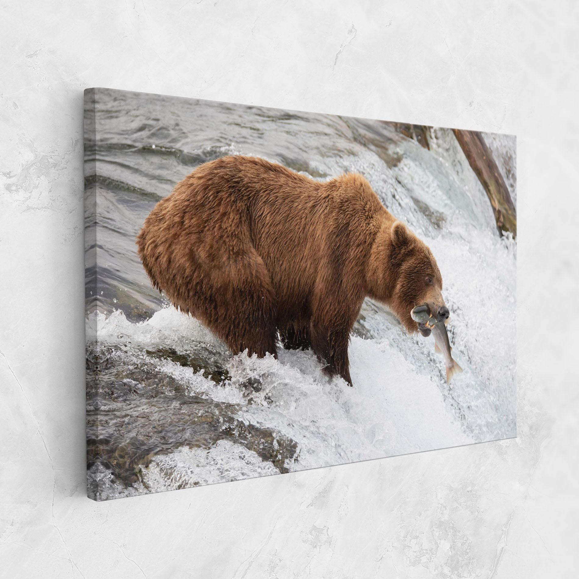 Bear Hunting mockup 1