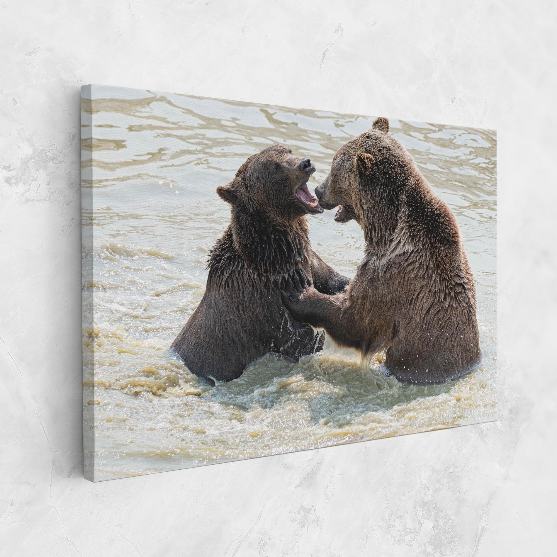 Bears Fighting mockup 1