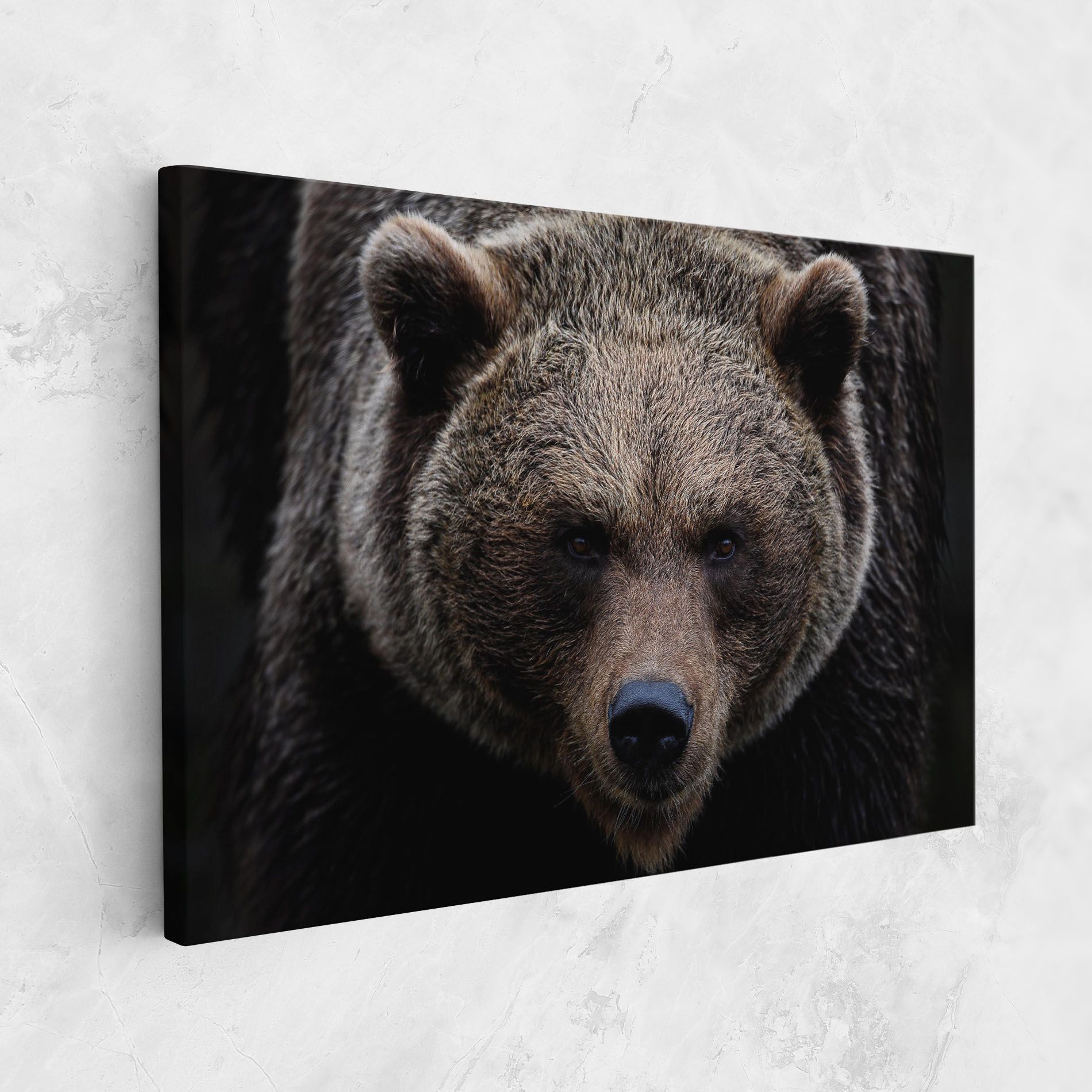 Brown Bear mockup 1