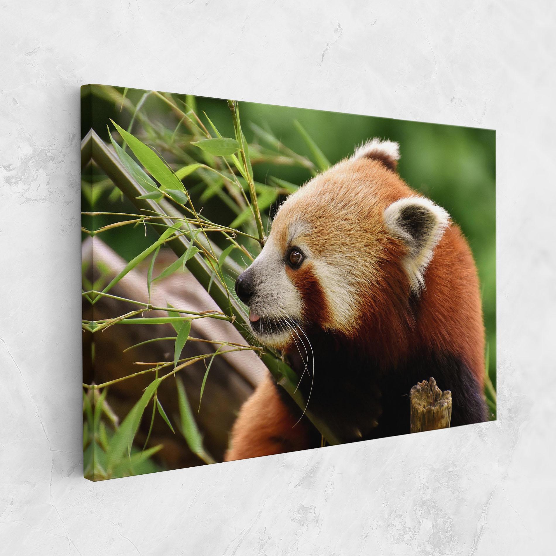 Tablou Canvas Cute Red Panda mockup 1