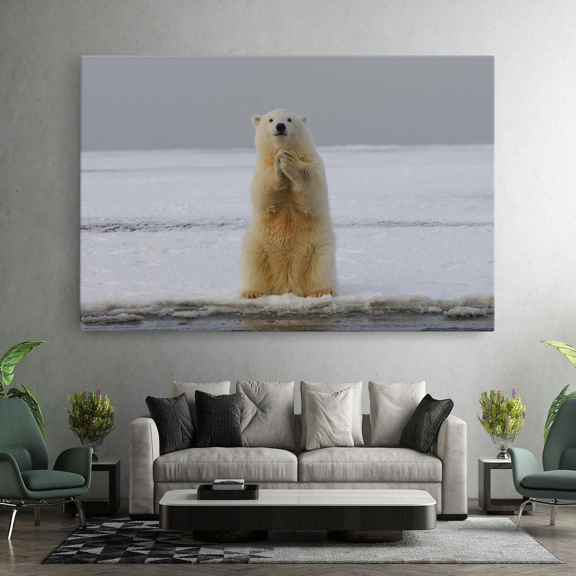 Tablou Canvas Icebear Praying mockup 7