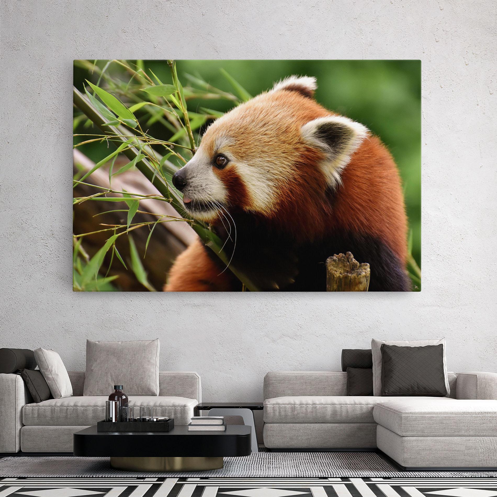 Tablou Canvas Cute Red Panda mockup 2