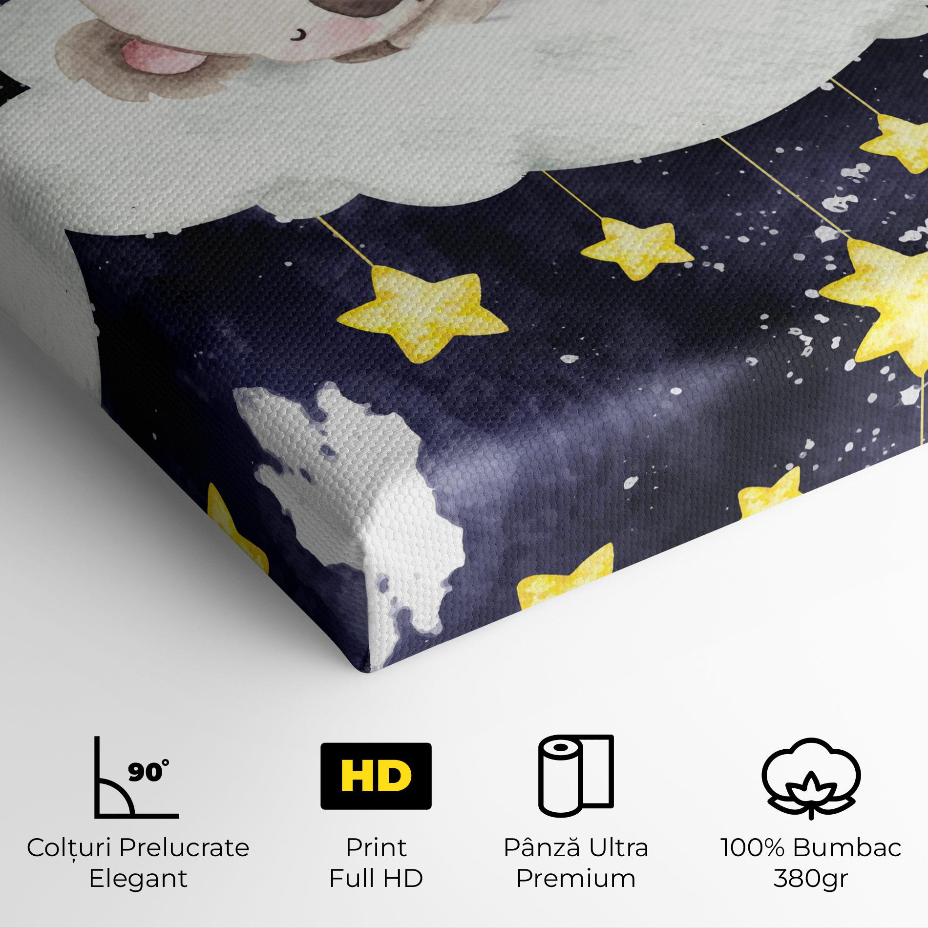 Tablou Canvas Baby Koala Sleeping mockup 4