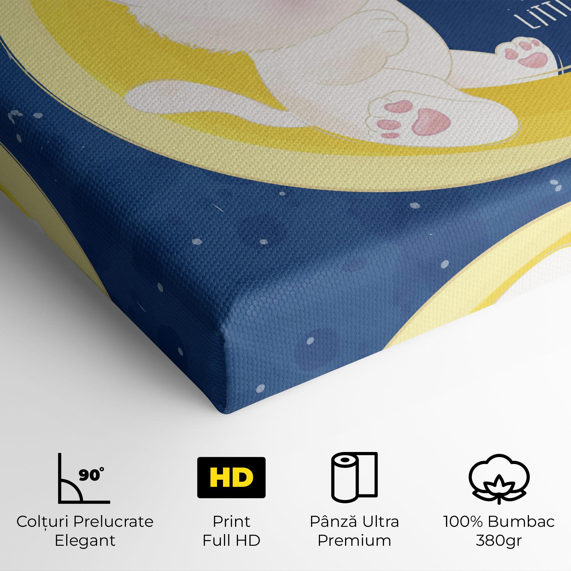 Tablou Canvas Cat Moon Star mockup 4