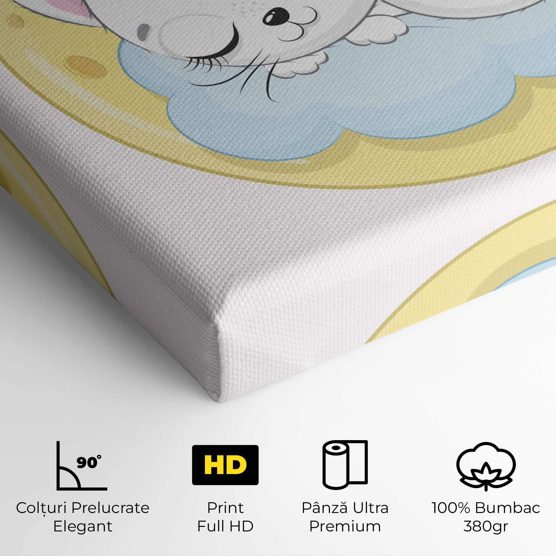 Moon Cat Sleeping mockup 4