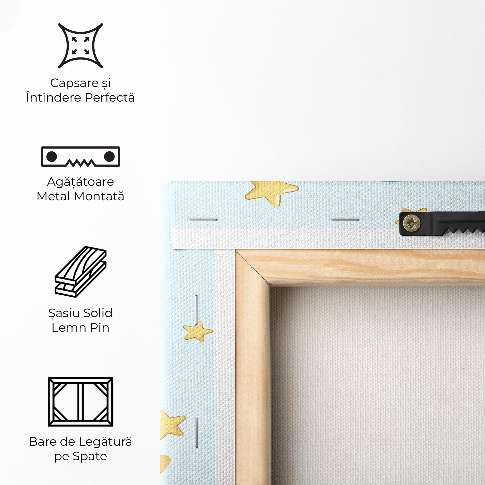 Tablou Canvas Baby On Moon mockup 5