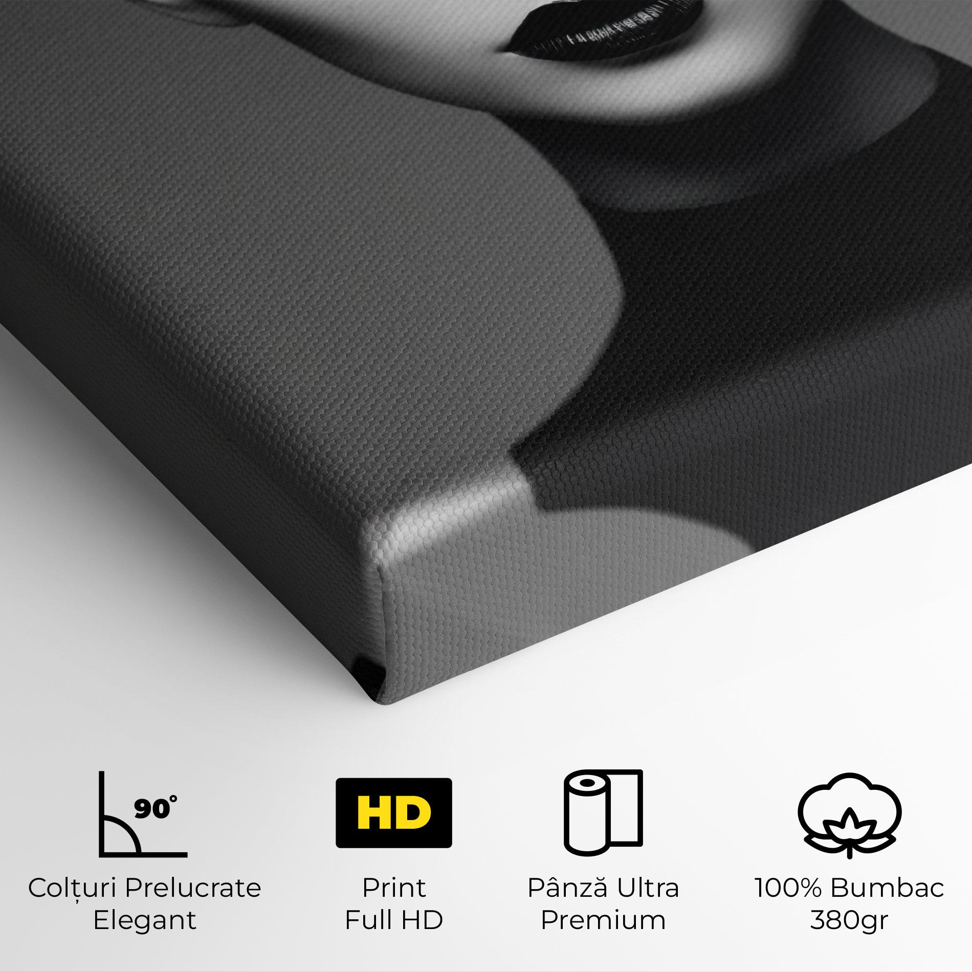 Tablou Canvas Black Lines On Face mockup 4