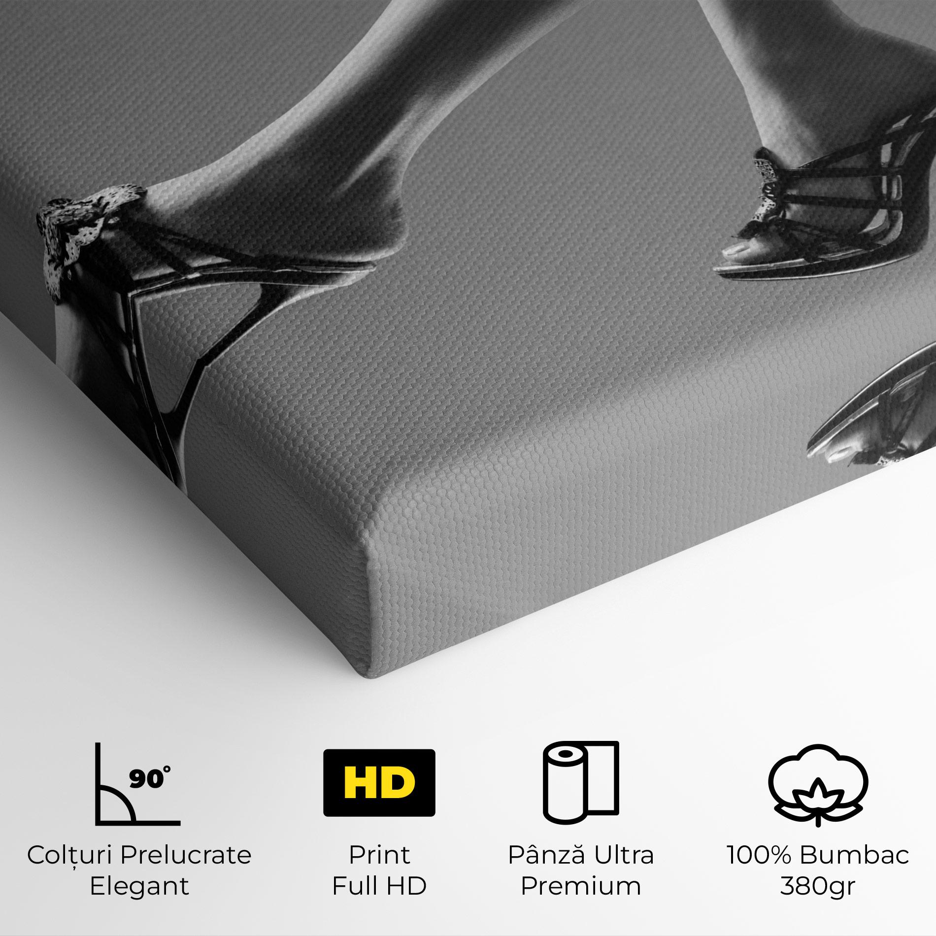 Tablou Canvas Black Shoes On Grey mockup 4