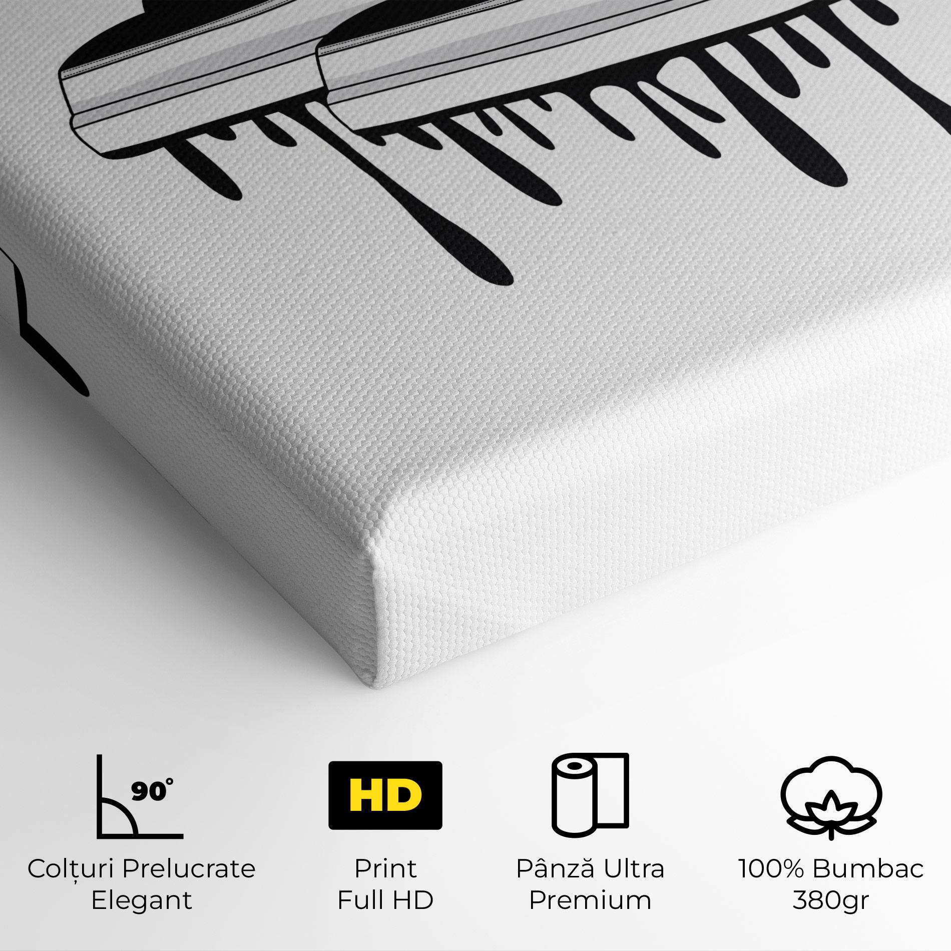 Tablou Canvas Black White Shoes mockup 4