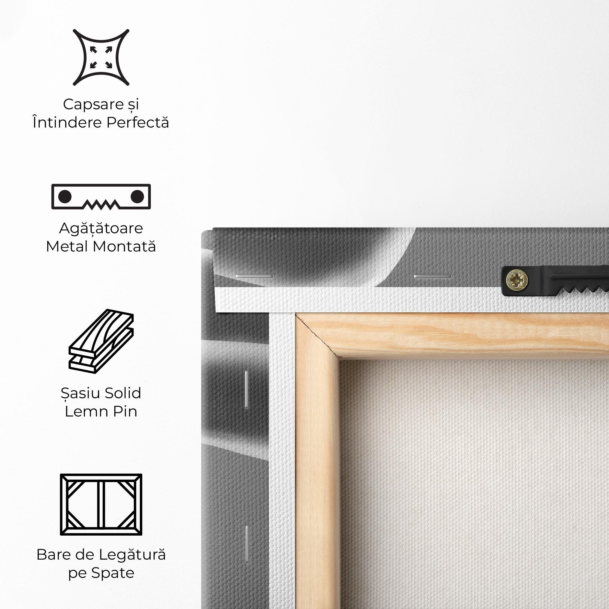 Tablou Canvas Black Shoes On Grey mockup 5