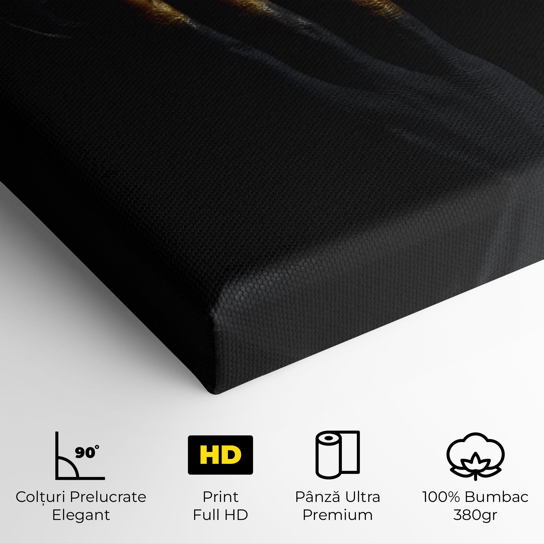 Tablou Canvas Gold Black Paint mockup 4