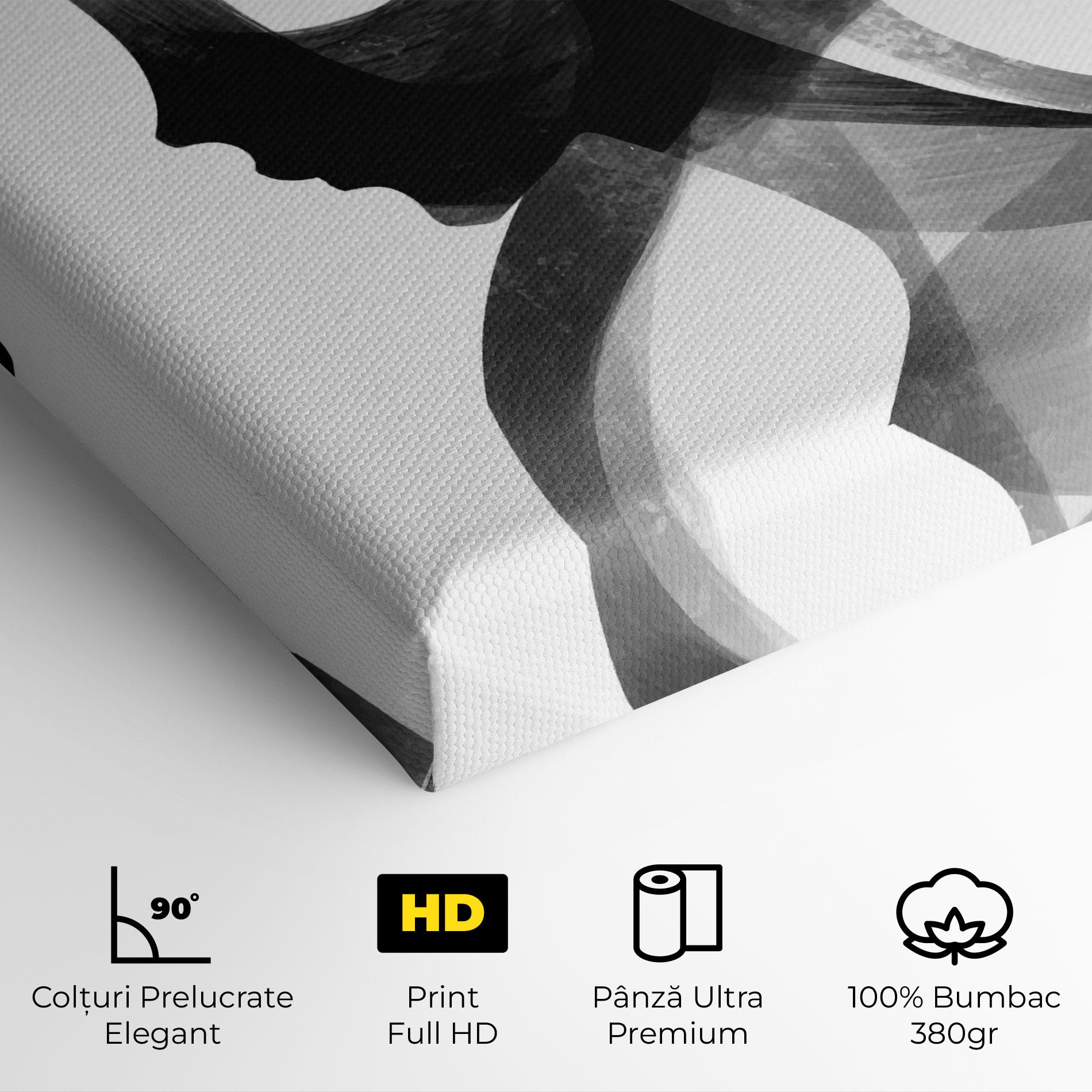 Tablou Canvas Abstract Grey Couple mockup 4