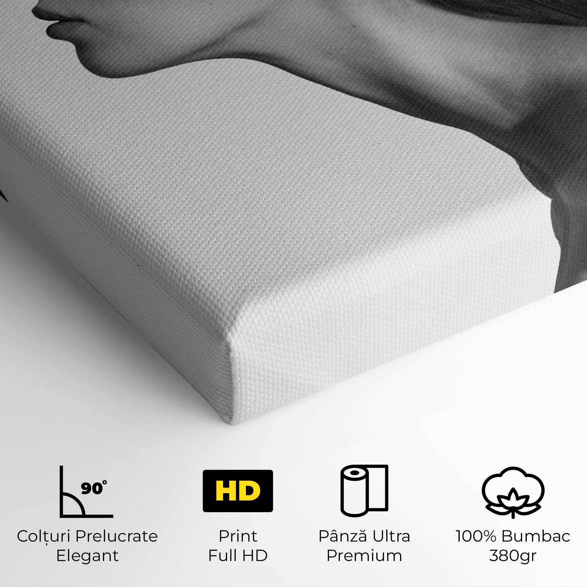 Tablou Canvas Woman Mountains View mockup 4