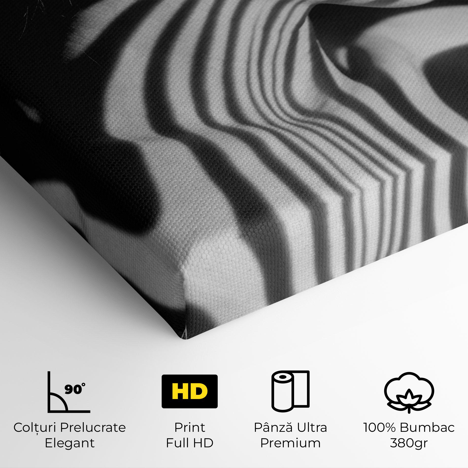 Tablou Canvas Zebra Stripes Woman mockup 4