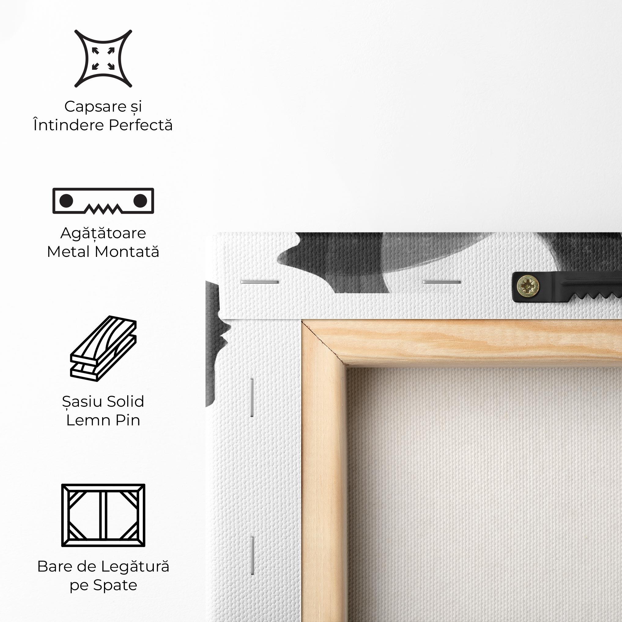 Tablou Canvas Abstract Grey Couple mockup 5