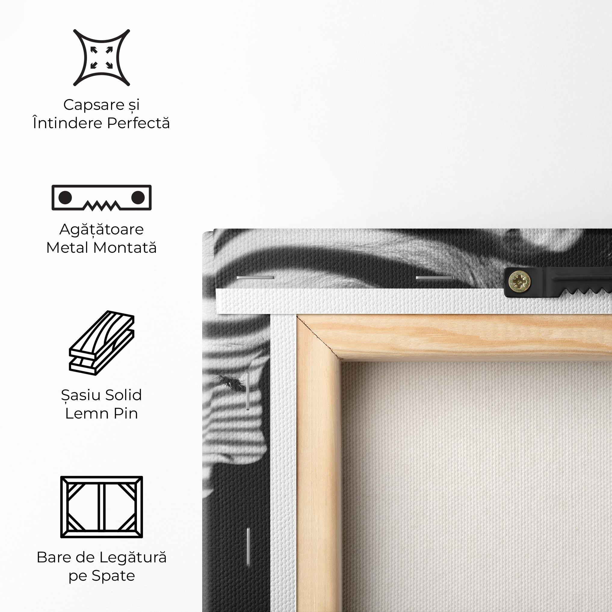 Tablou Canvas Zebra Stripes Woman mockup 5