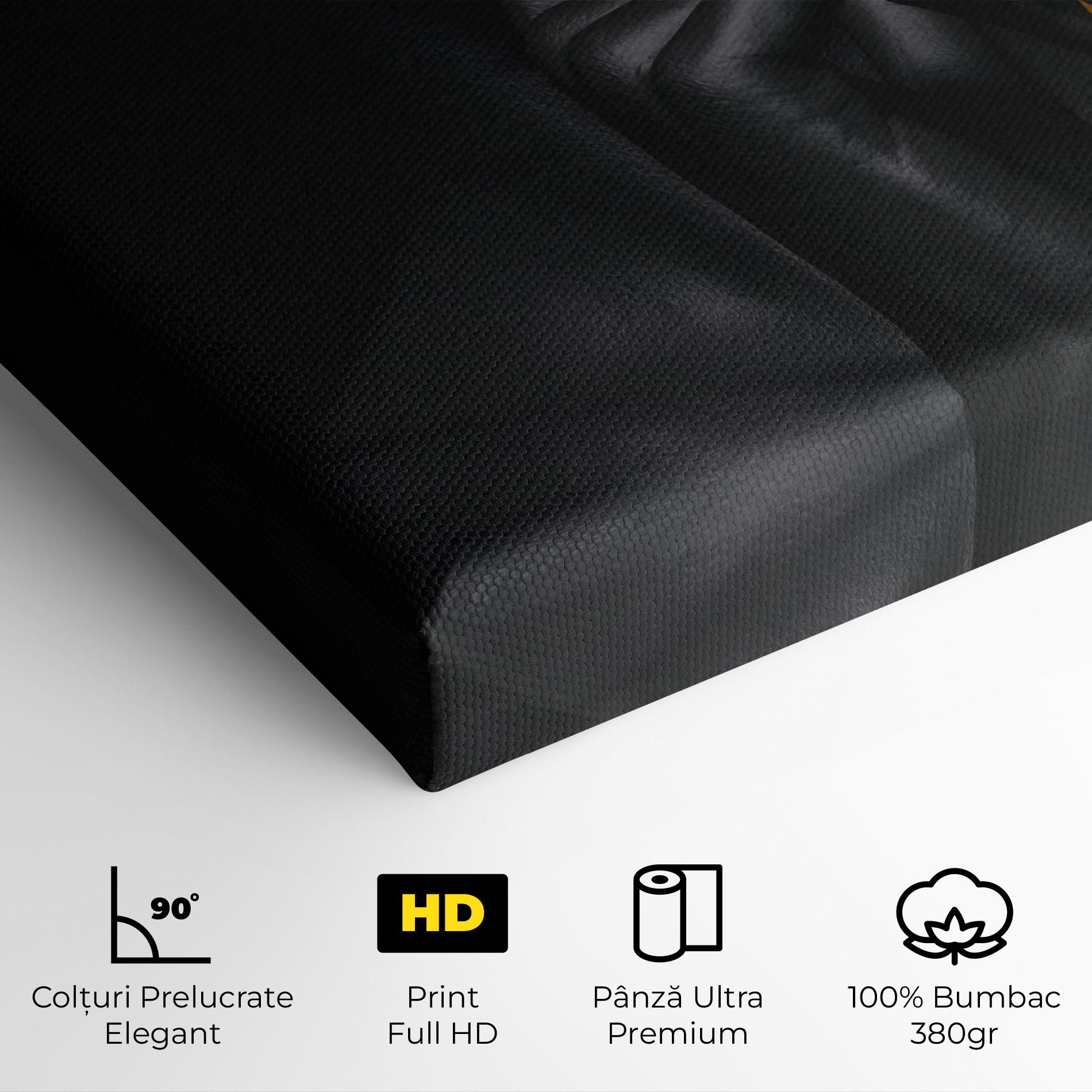 Tablou Canvas Silence Lips Portrait mockup 4