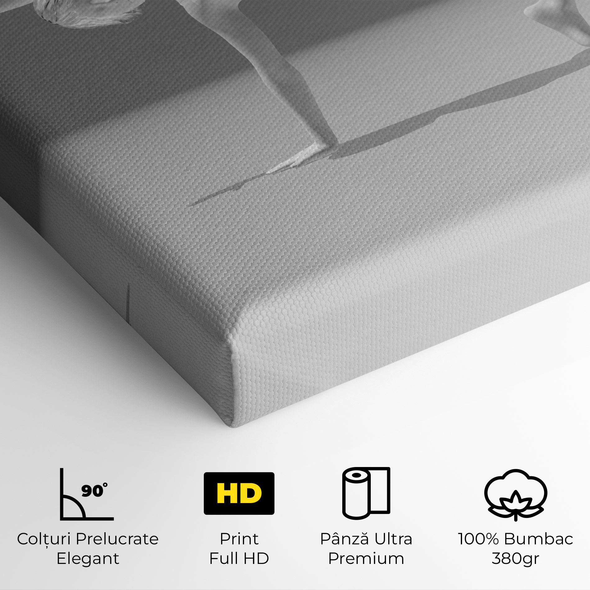 Tablou Canvas 3d Gymnastic Pose mockup 4