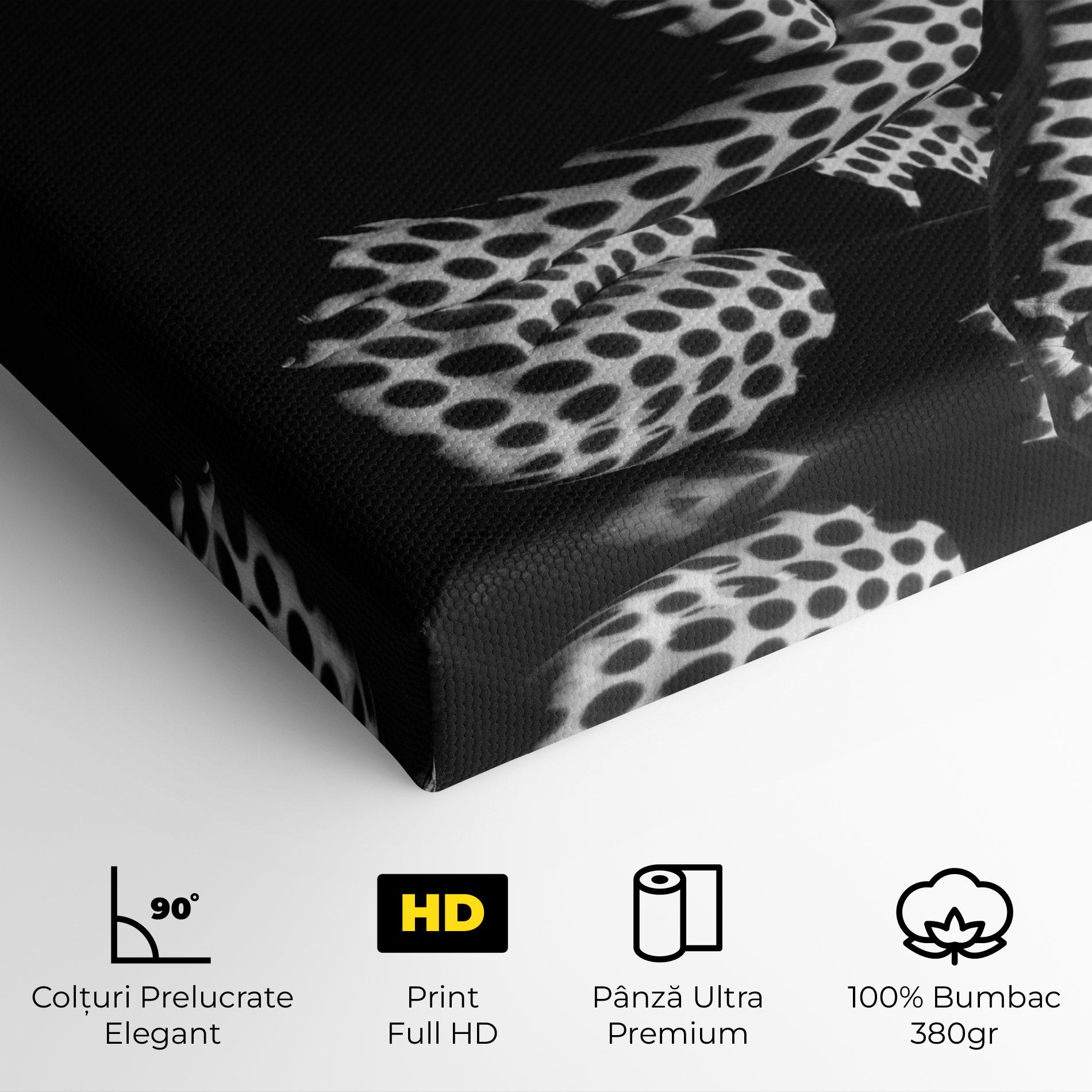 Tablou Canvas Black White Pattern Woman mockup 4