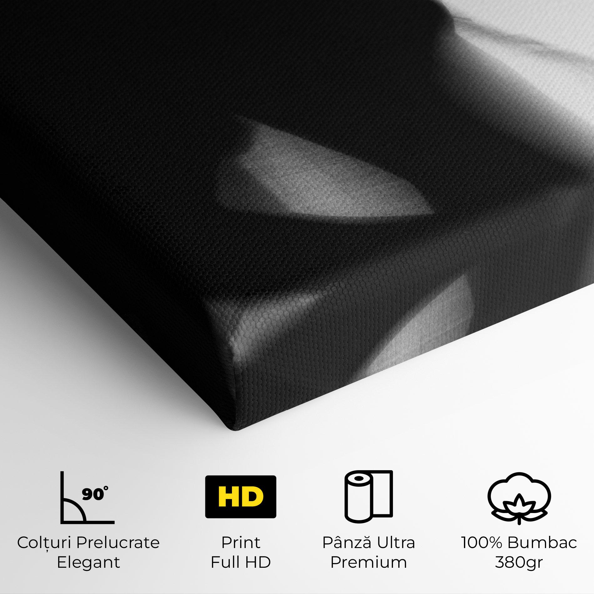 Tablou Canvas Blurred Girl mockup 4