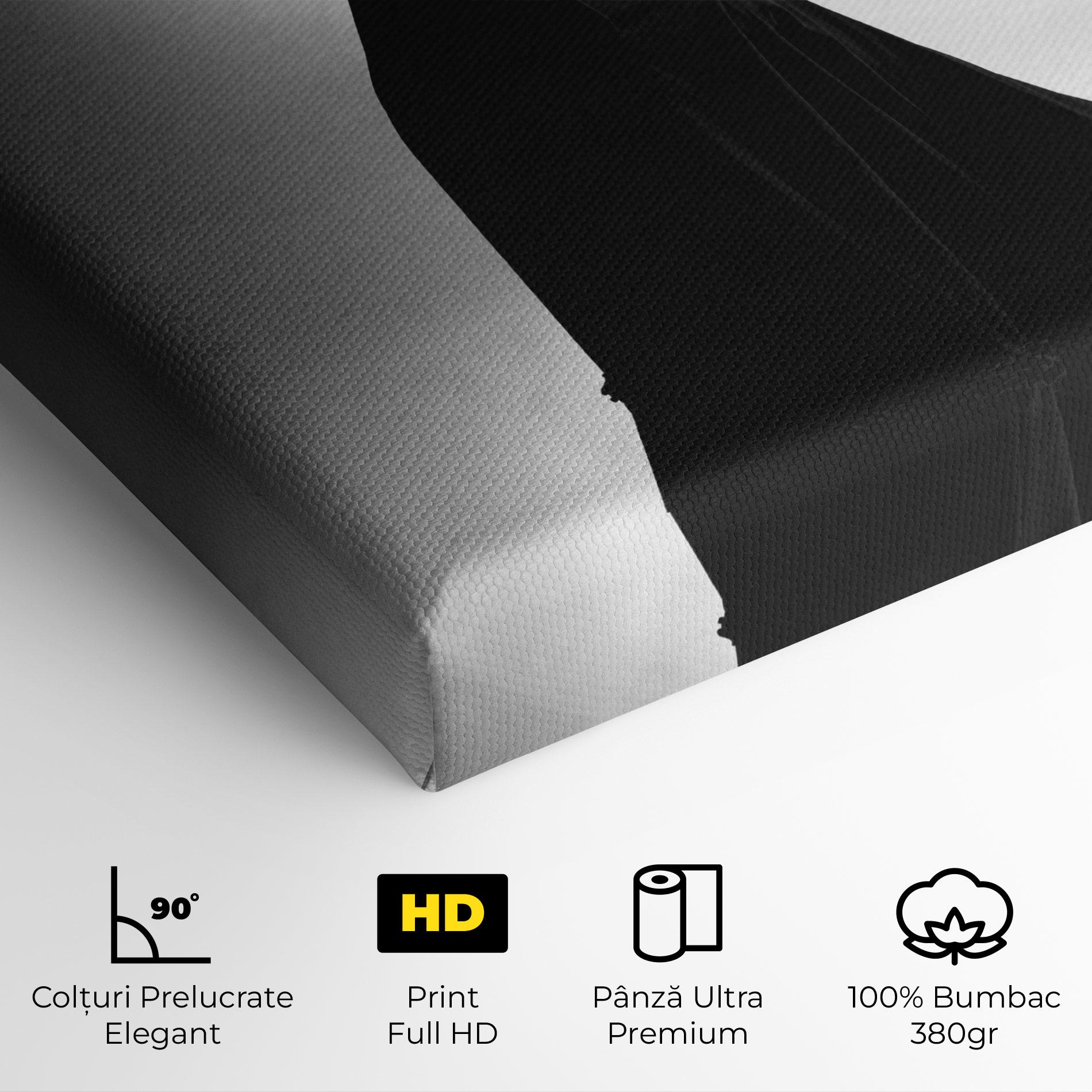 Tablou Canvas Full Shot Dancer mockup 4