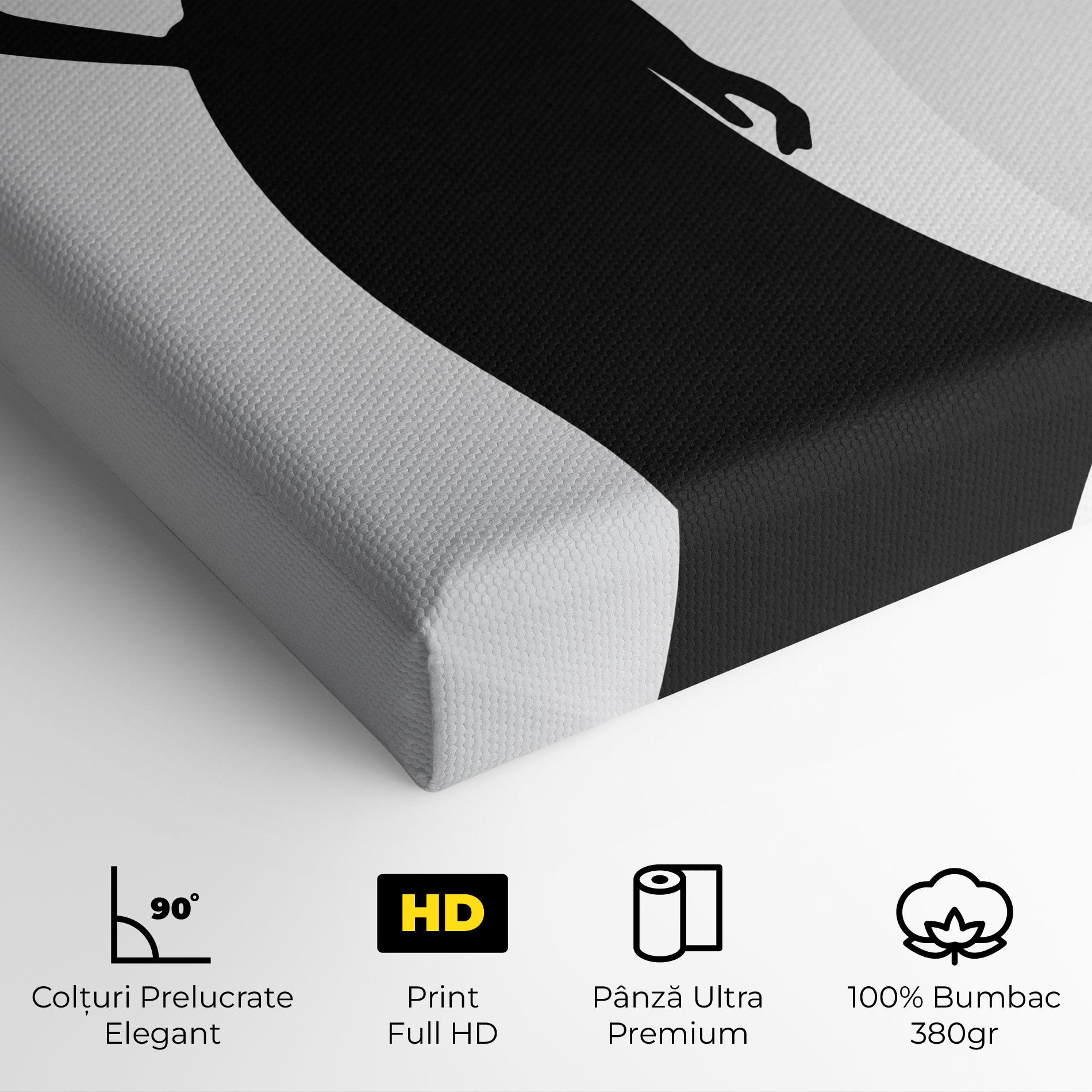 Tablou Canvas Silhouette Lady mockup 4