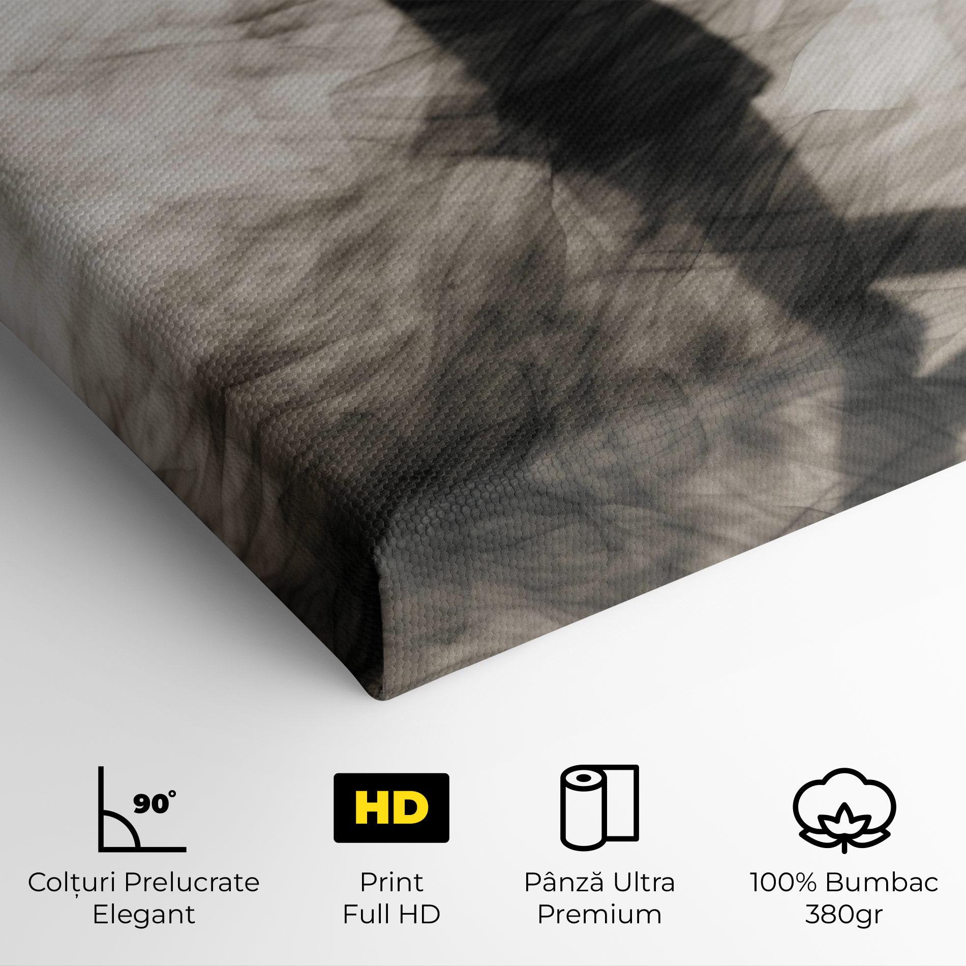 Tablou Canvas Smoke Girl Shilouette mockup 4