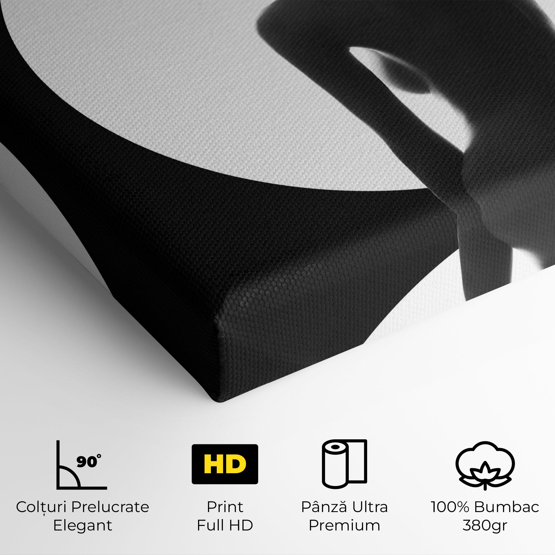 Tablou Canvas Woman Body Circle mockup 4