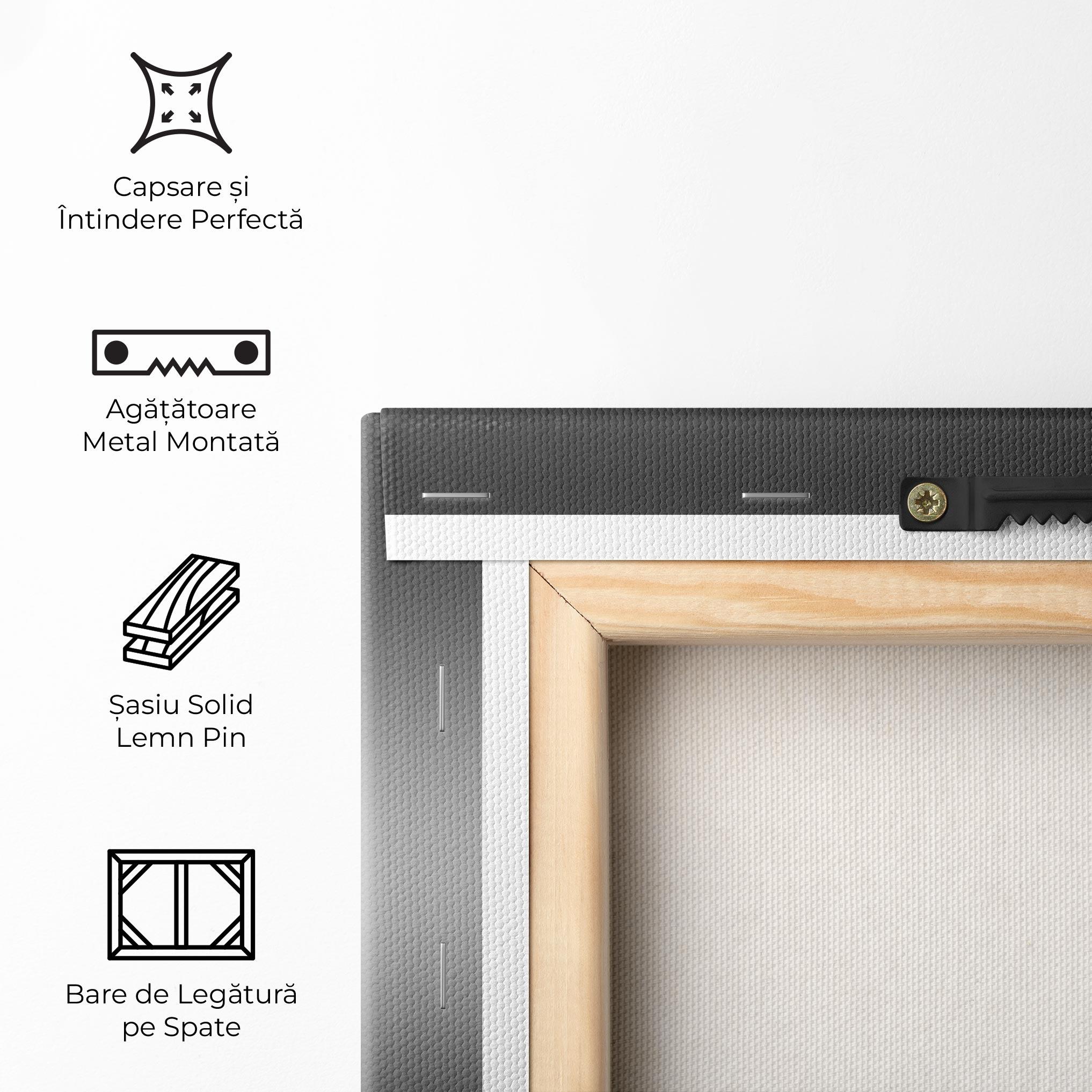 Tablou Canvas Black Glossy Female Dancer mockup 5