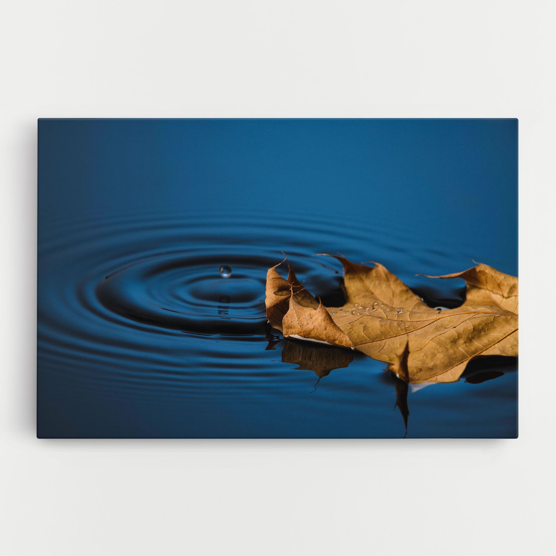Autumn Leaf Water mockup 0