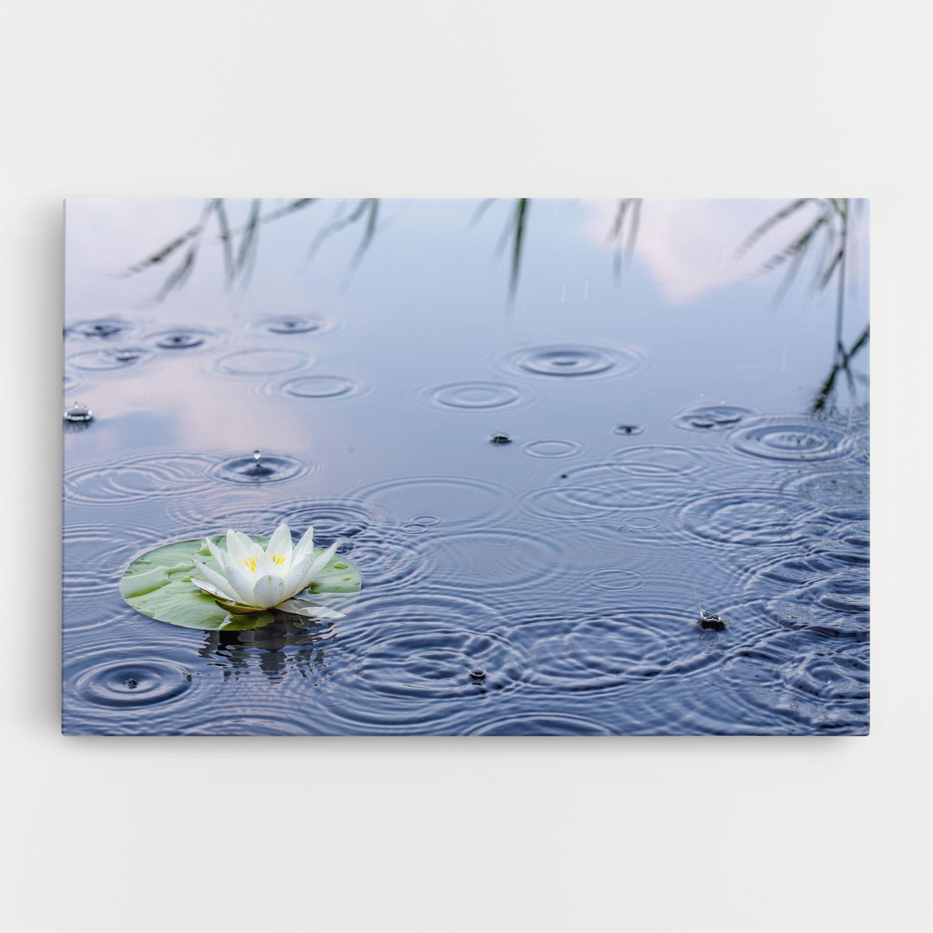 Clear Lake Rain mockup 0
