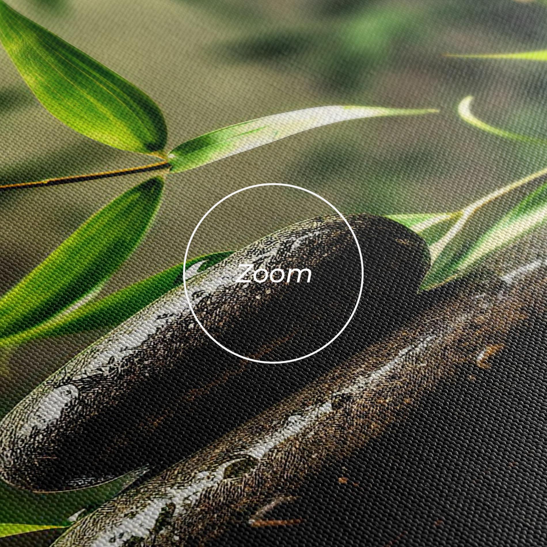 Tablou Canvas Bamboo Plant Water mockup 3