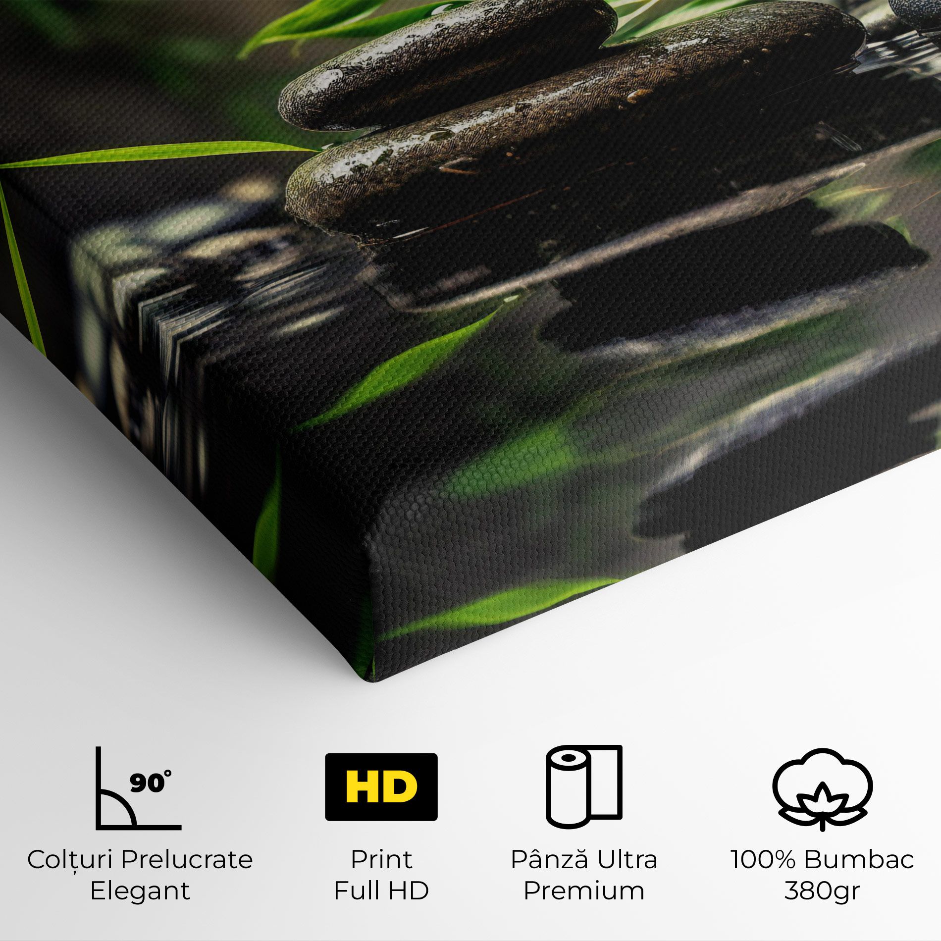 Bamboo Plant Water mockup 4