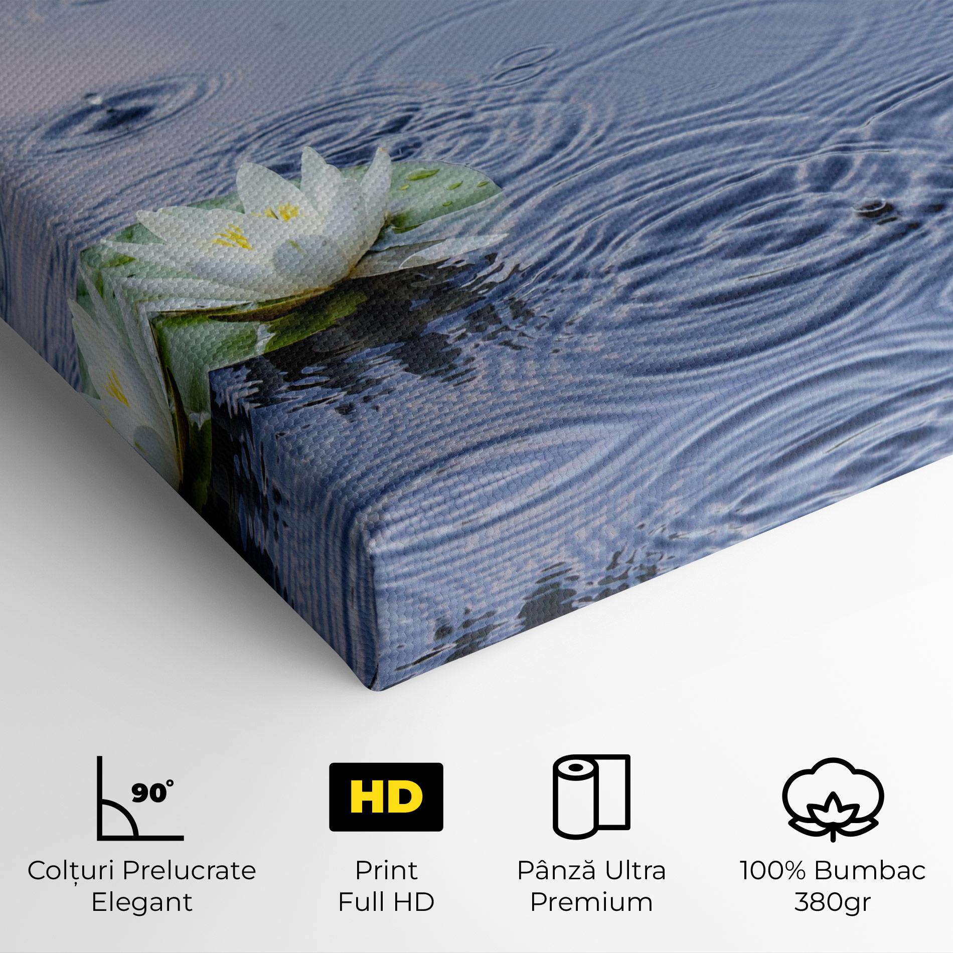 Tablou Canvas Clear Lake Rain mockup 4