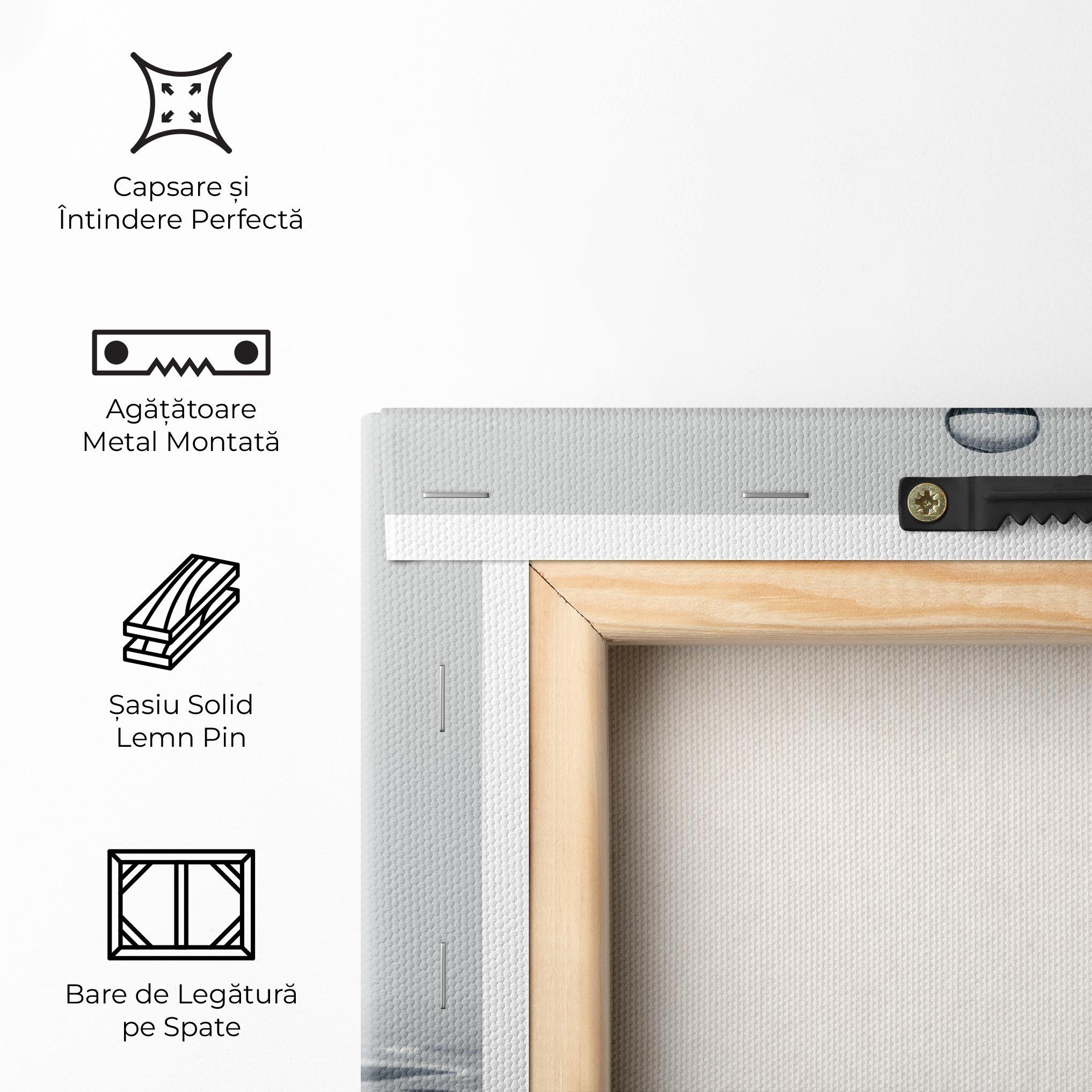 Tablou Canvas Grey Water Drop mockup 5