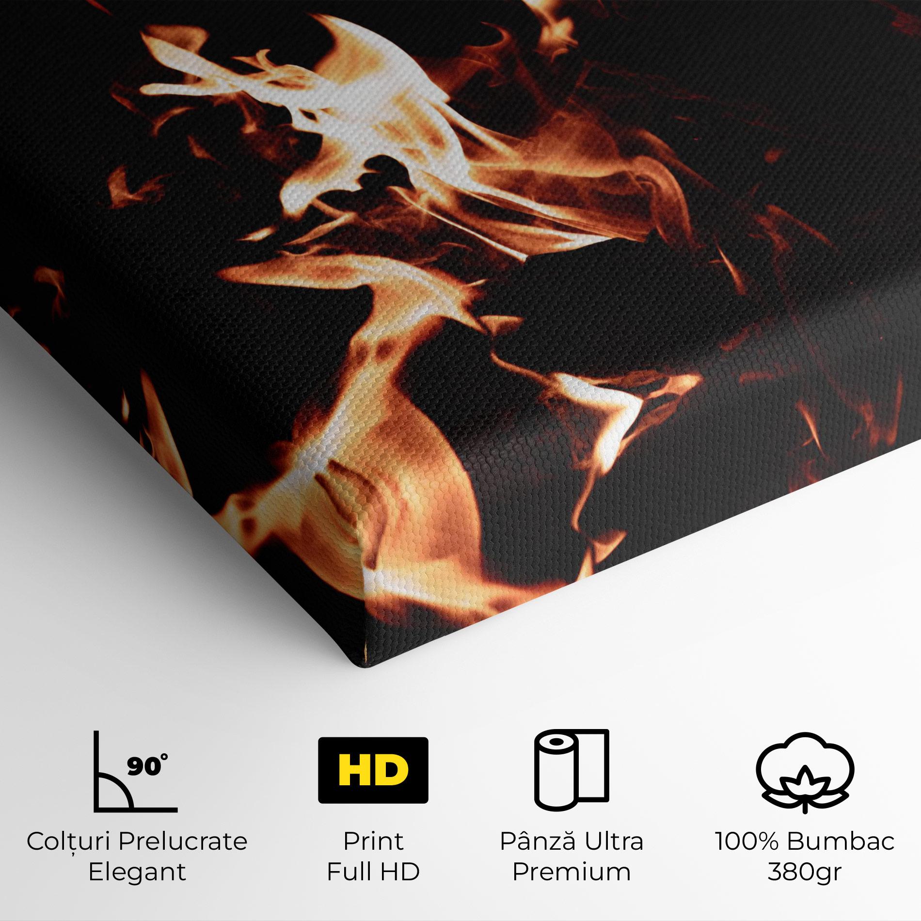 Tablou Canvas Red Grey Fire mockup 4