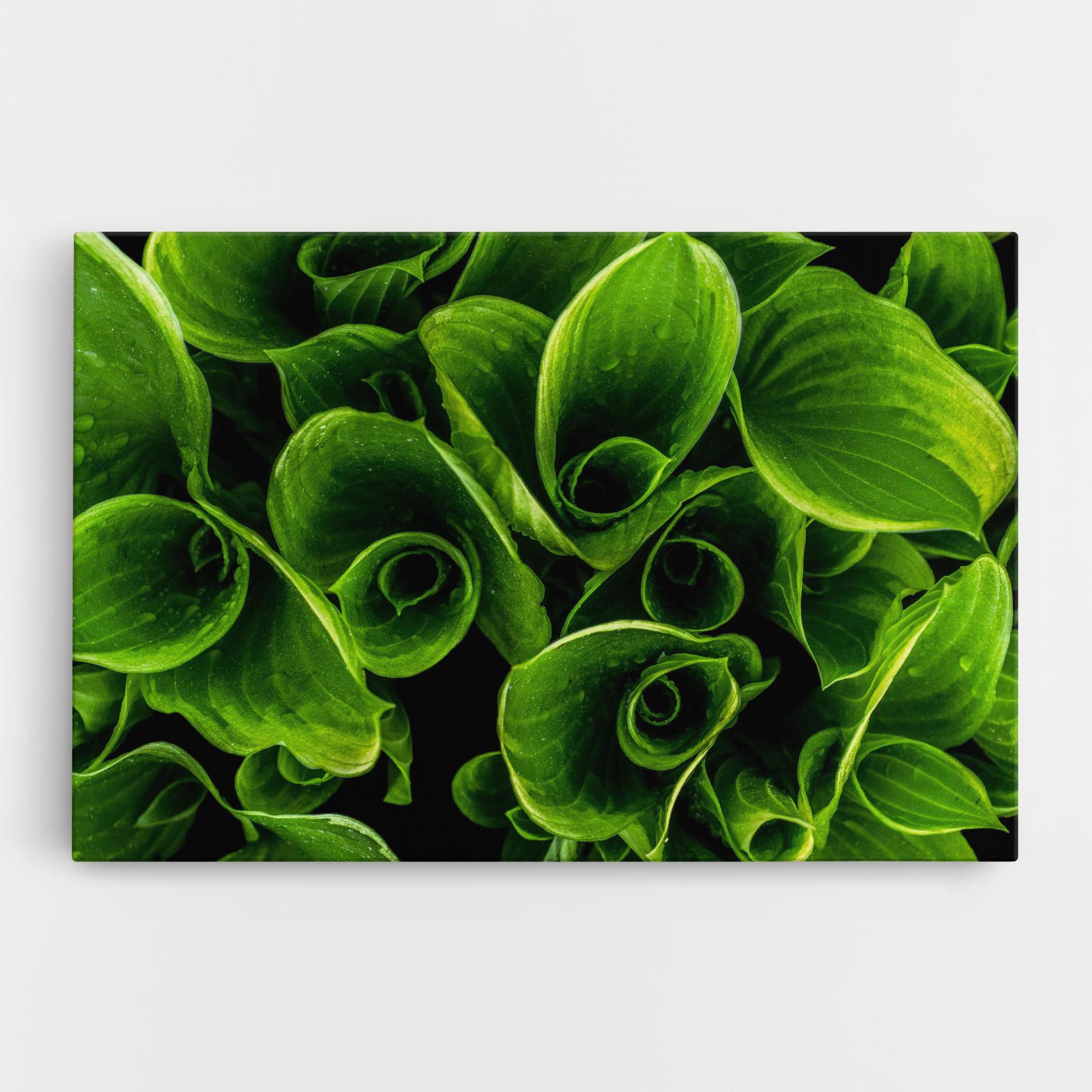 Tablou Canvas Green Nature View mockup 0