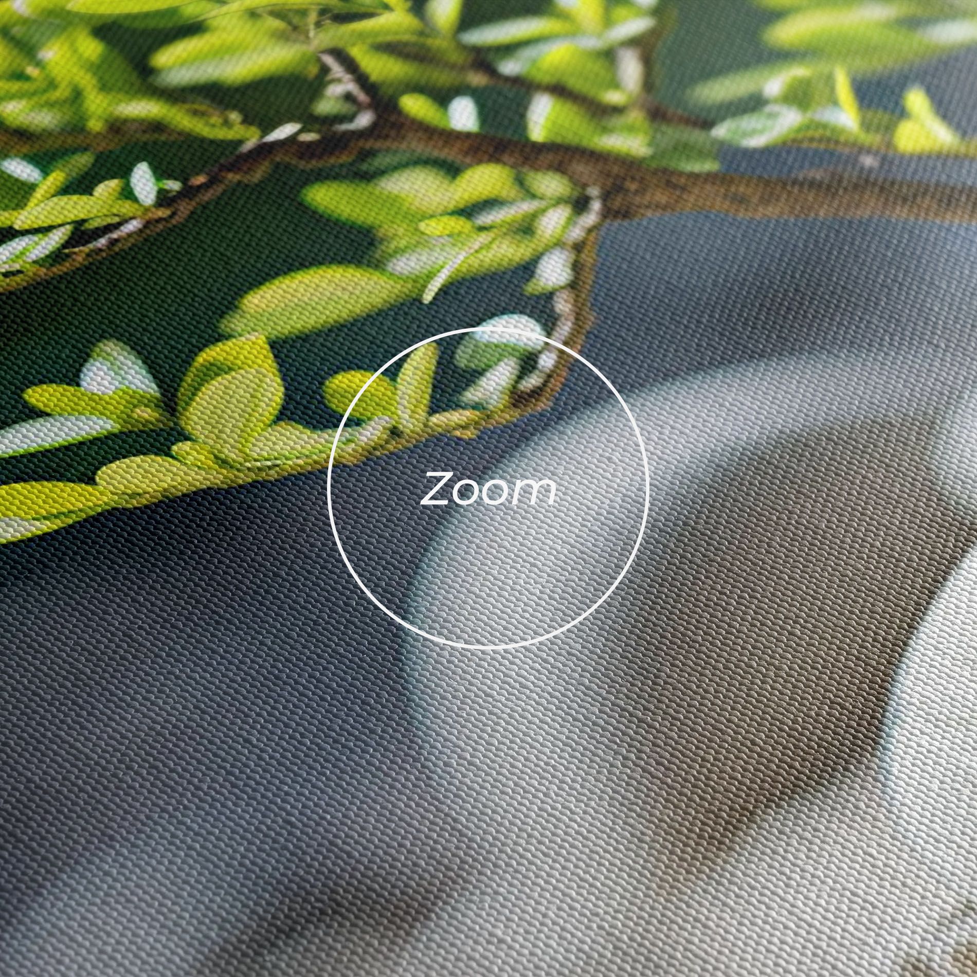 White Pebbles Plants mockup 3