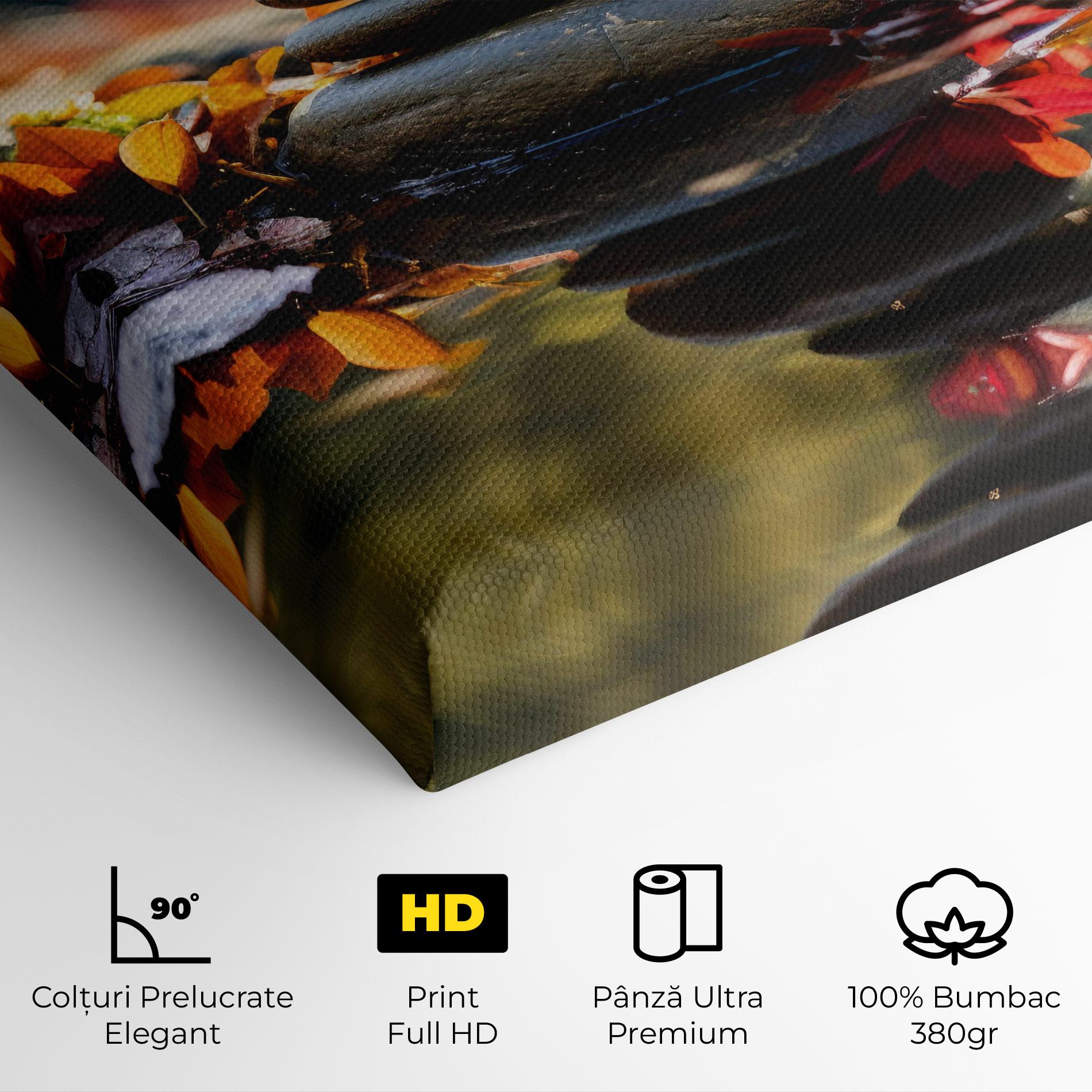 Tablou Canvas Autumn Stones mockup 4