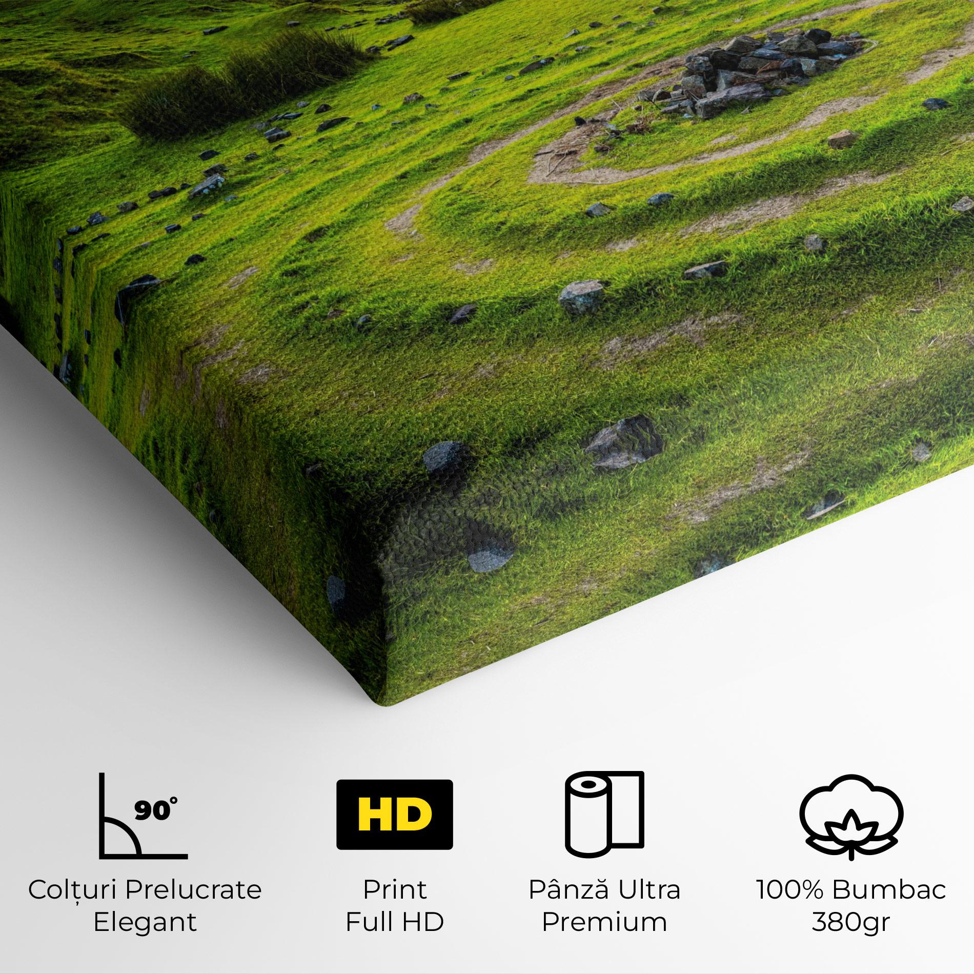 Tablou Canvas Green Circle Nature mockup 4