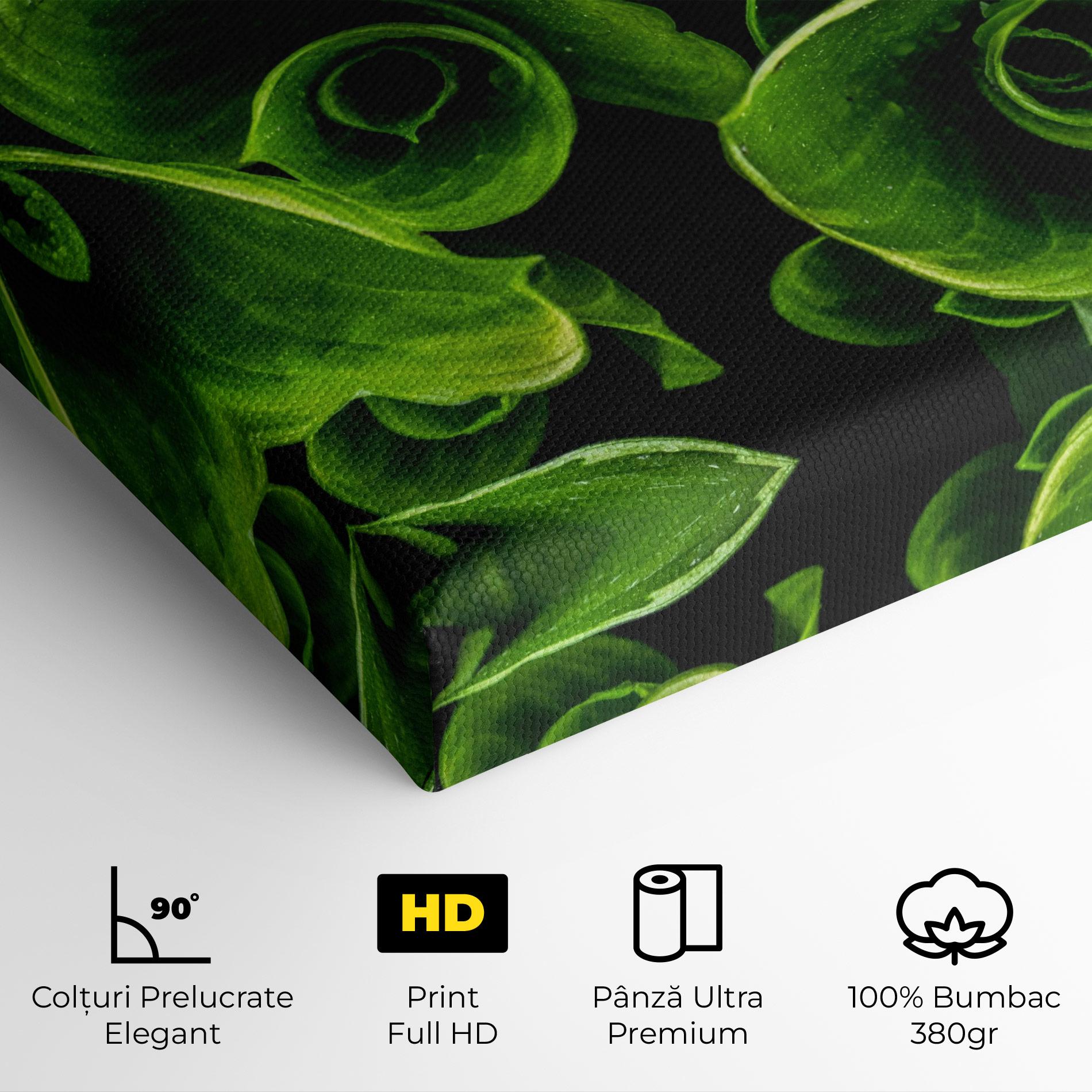 Tablou Canvas Green Nature View mockup 4