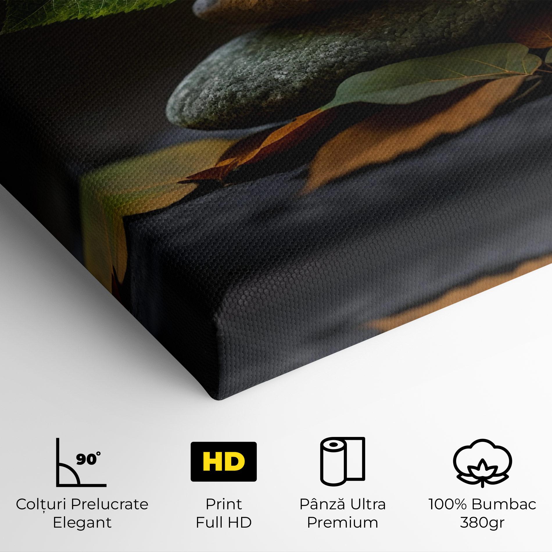 Tablou Canvas Harmony Stones mockup 4